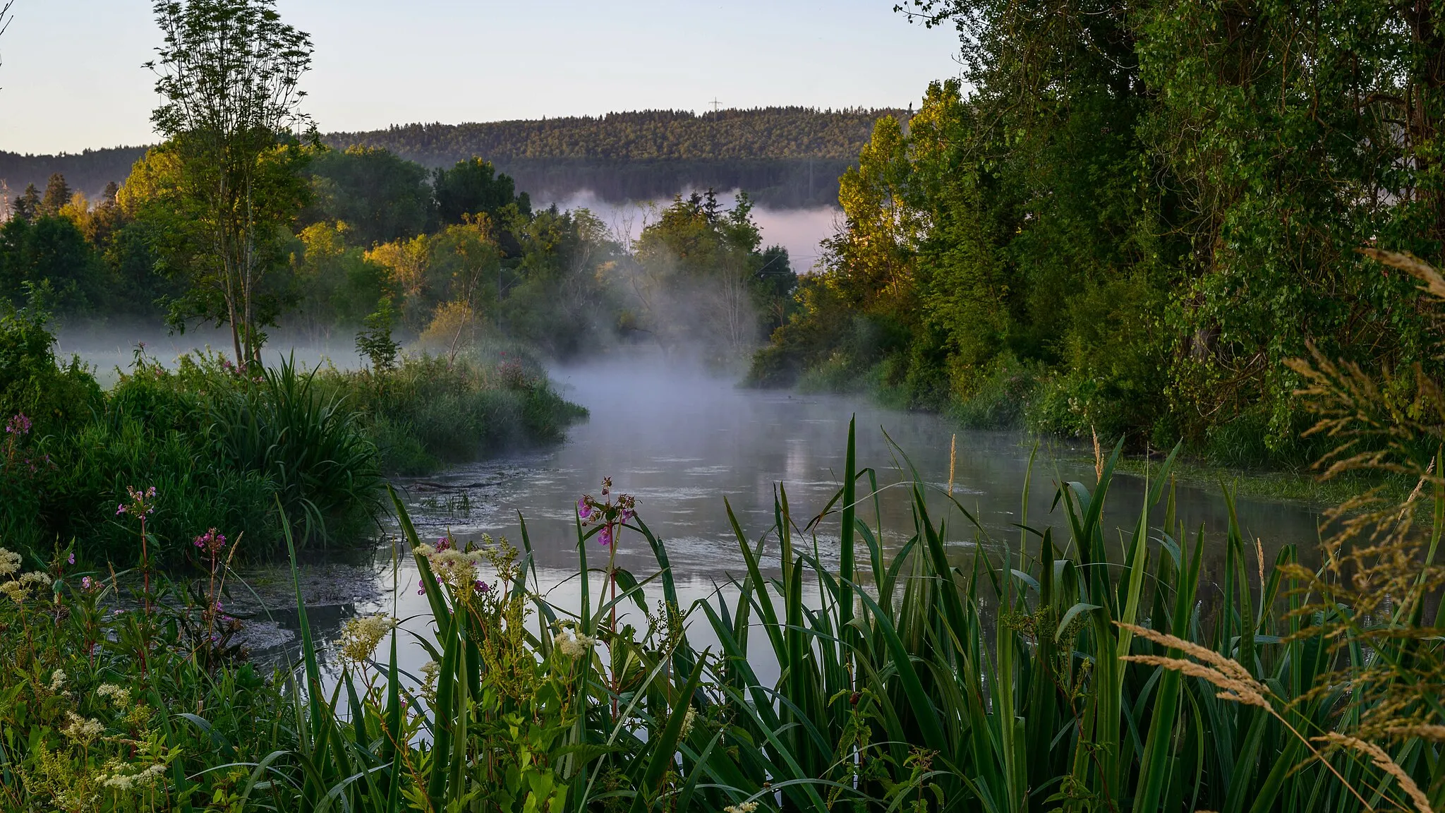 Photo showing: Die Junge Donau bei Donaueschingen/ Neudingen