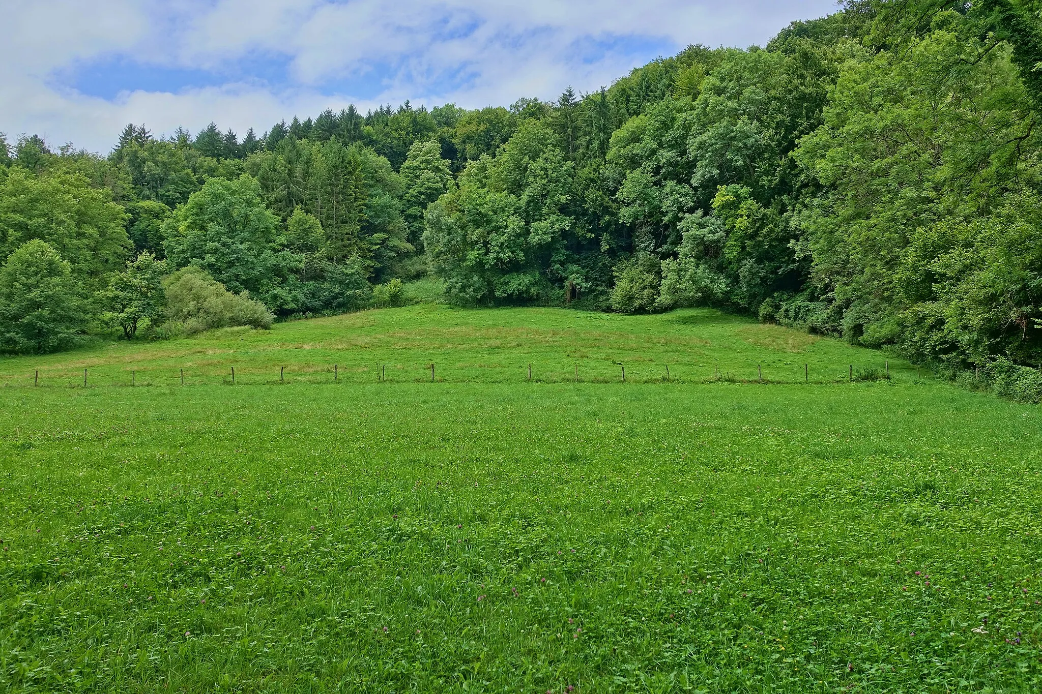 Photo showing: Das Naturschutzgebiet, bestehend aus zwei Teilgebieten mit einer Gesamtgröße von rund 30 ha mit standorttypische Laubwaldgesellschaften, Flachmoore, Seggenriede, Röhrichte und Quellbereiche mit umfangreichen Kalksinterbildungen; naturnahe Bachläufe.