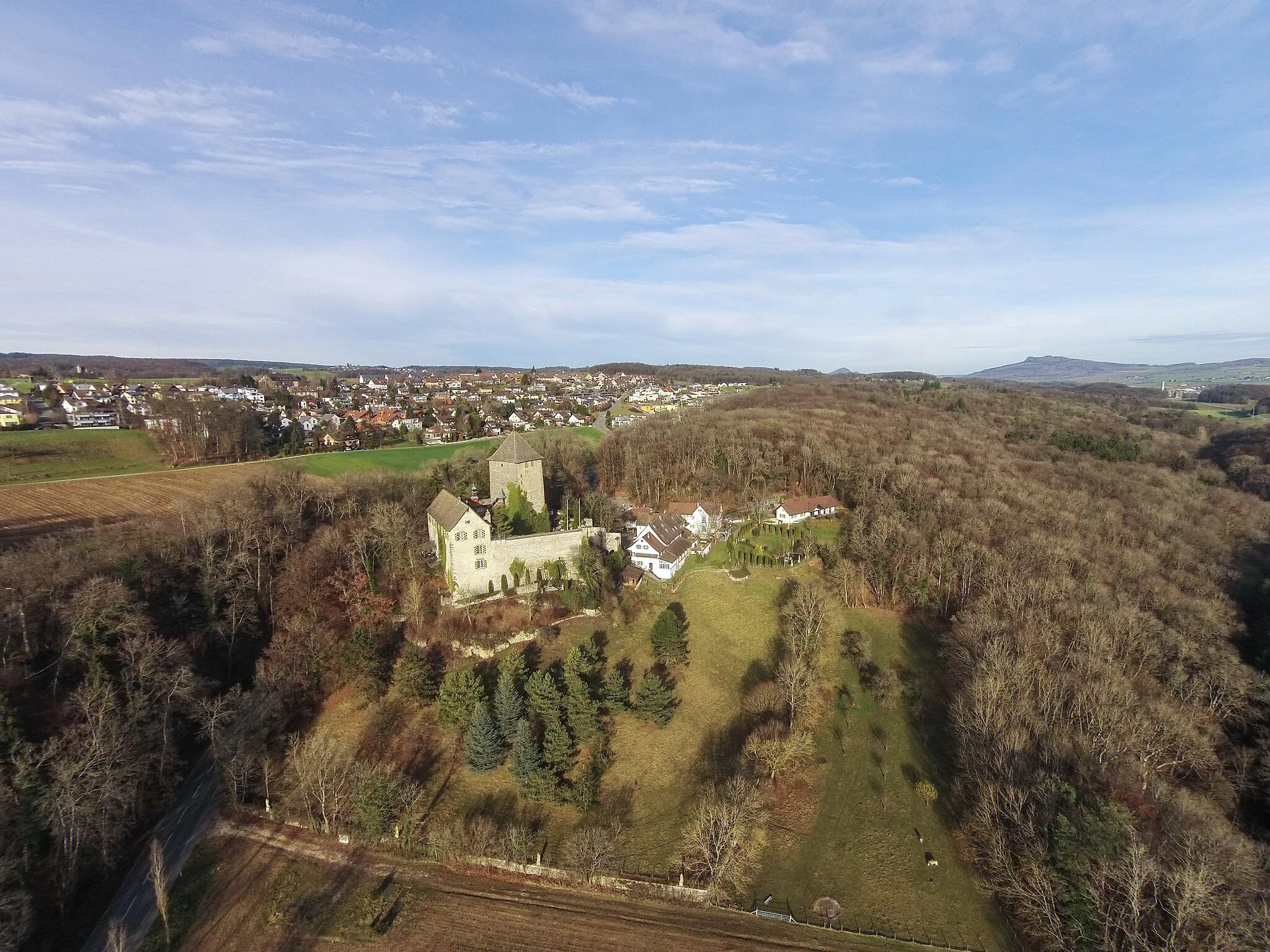 Photo showing: Switzerland, Canton of Schaffhausen, QC aerial picture of Schloss Herblingen