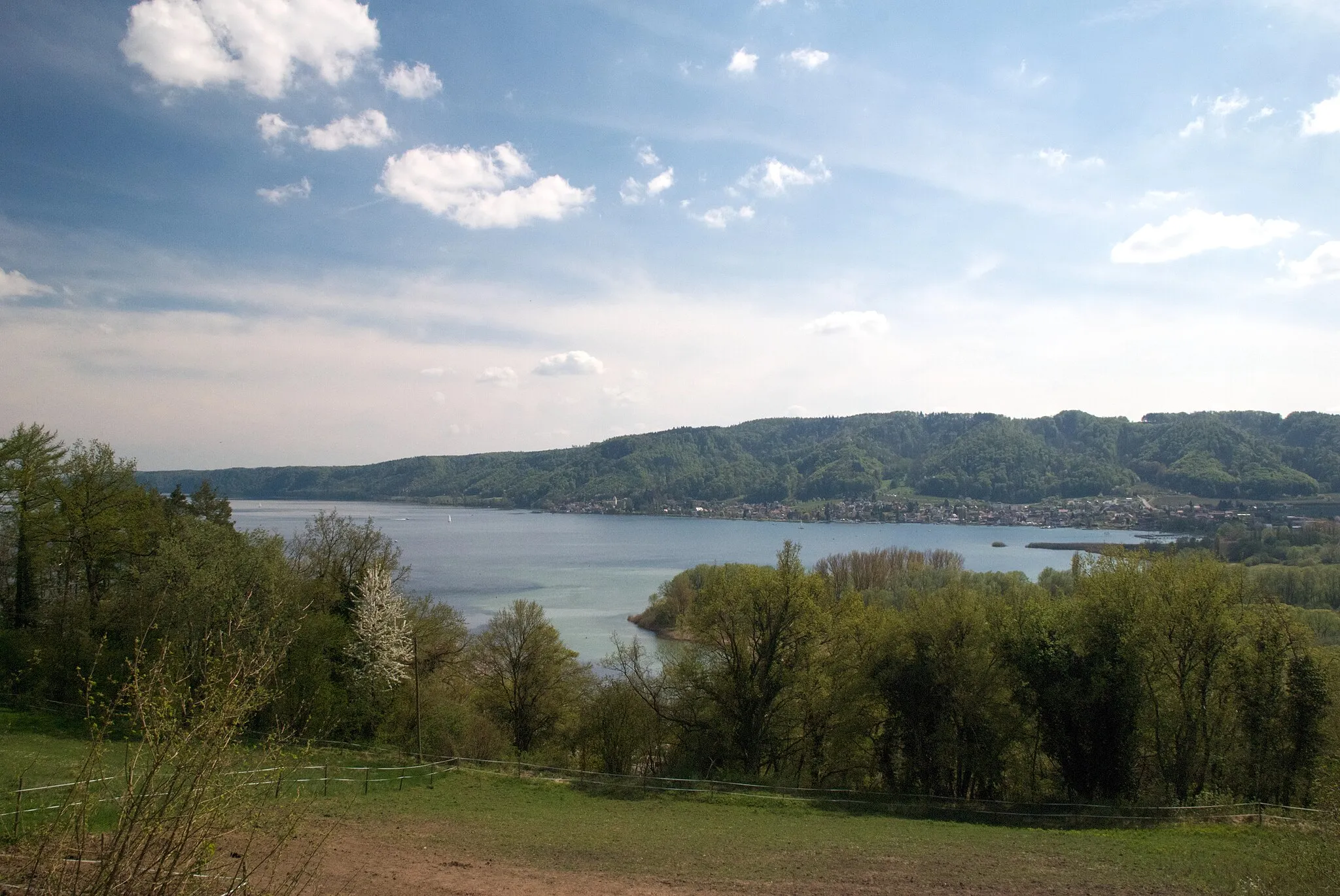 Photo showing: Blick aufs Naturschutzgebiet „Bodenseeufer (Bodman-Ludwigshafen)“