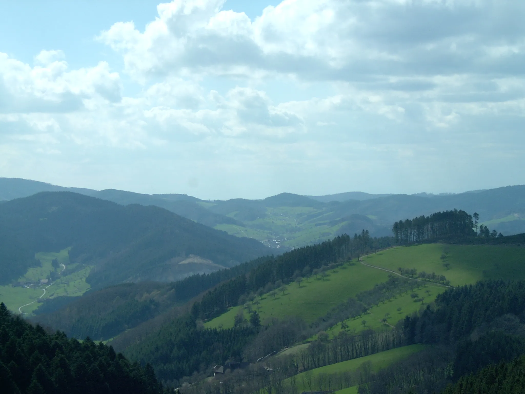 Photo showing: Black Forest in Southwestern Germany.