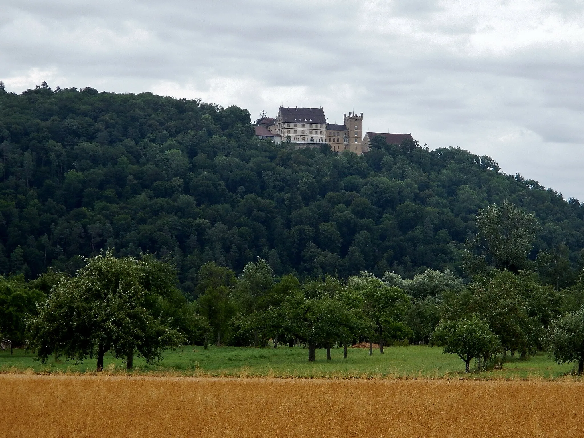 Photo showing: Vom 366 km langen Neckartalradweg aus gesehen: Hotel-Restaurant Schloss Weitenburg