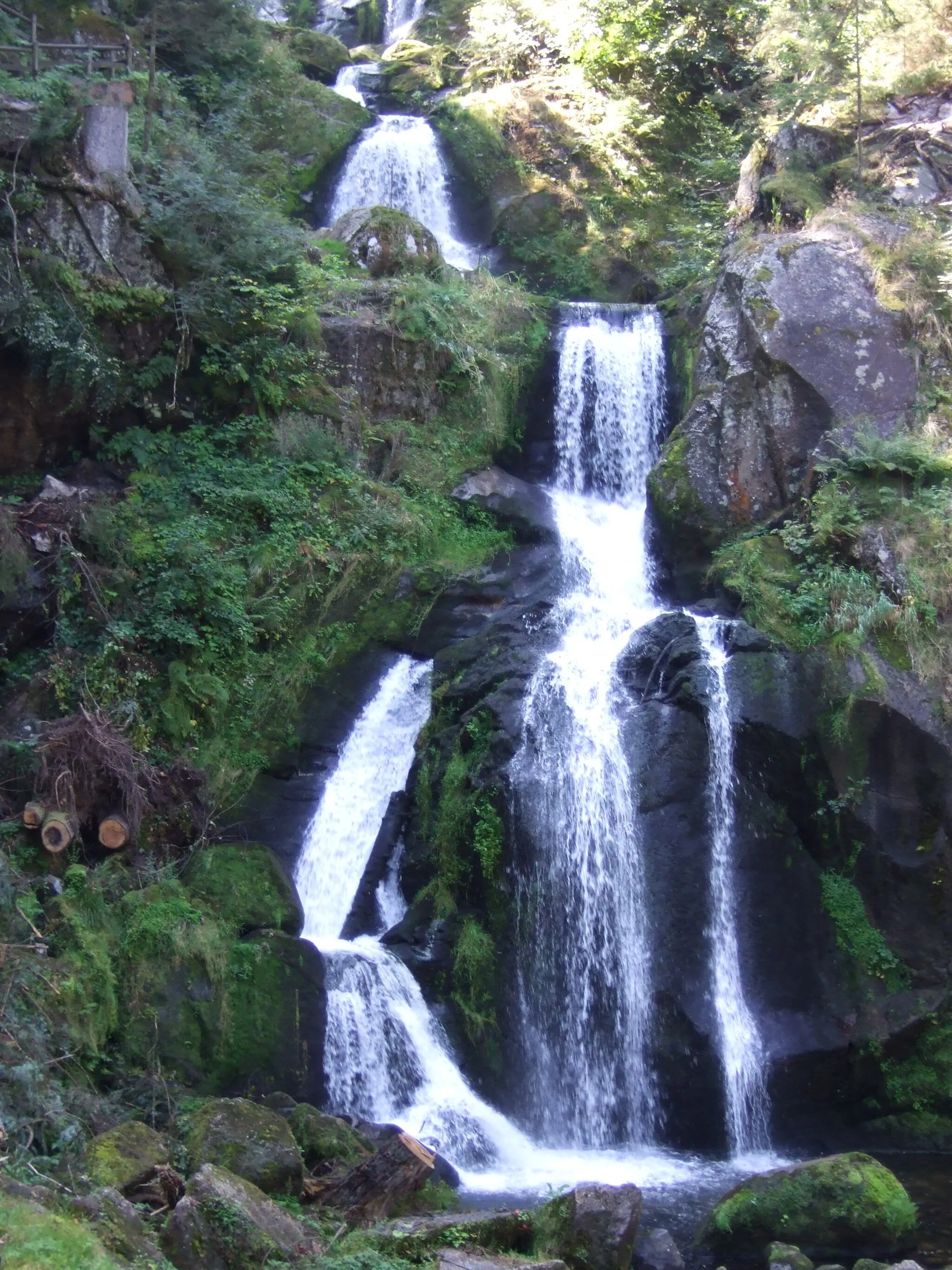 Photo showing: waterfall of Triberg, black forest, Germany