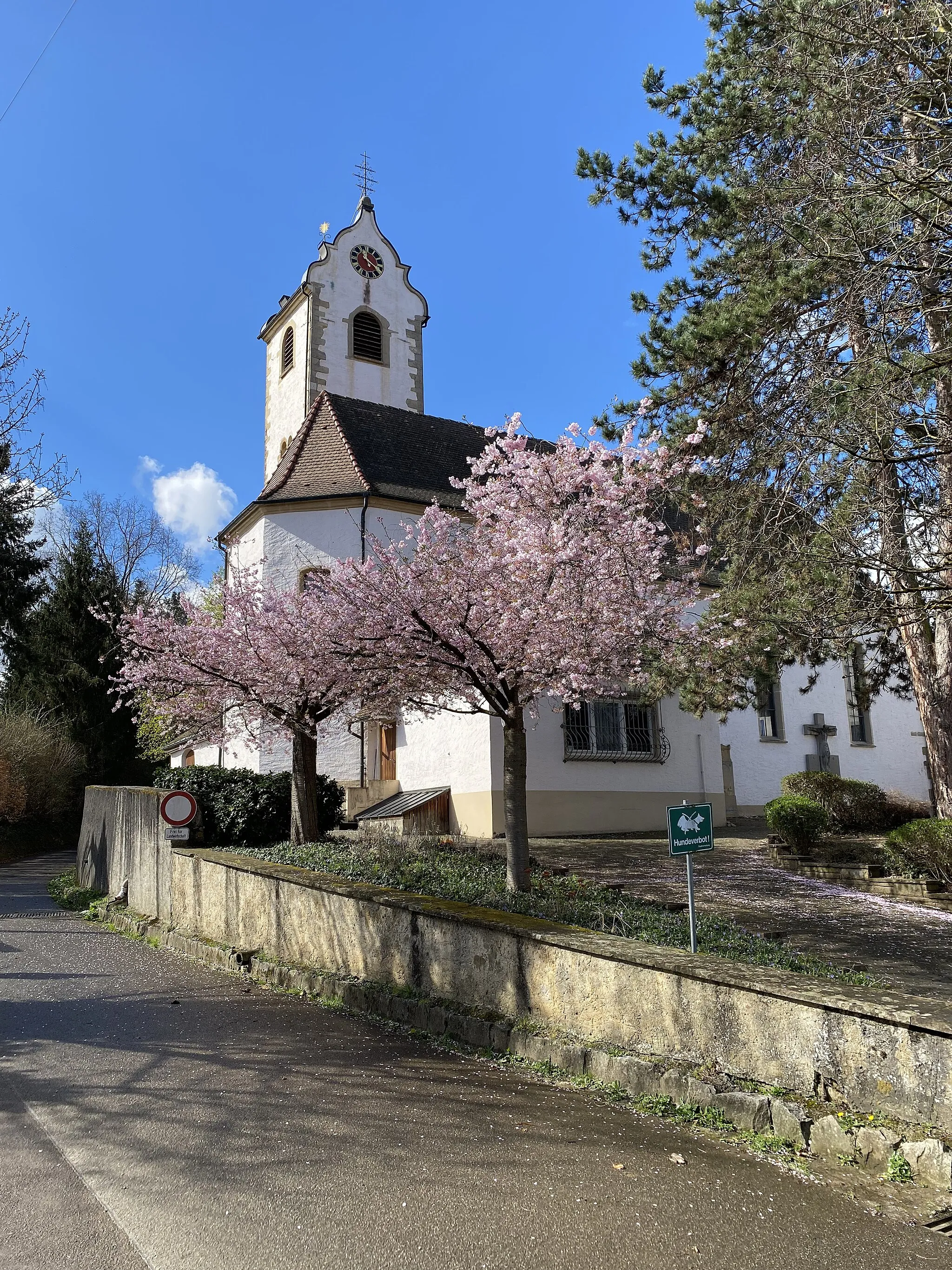 Photo showing: Die römisch-katholische Kirche St. Vitus in Wettelbrunn biete im Frühjahr ein malerisches Bild mit den die Kirche umgebenden blühenden Bäumen .
