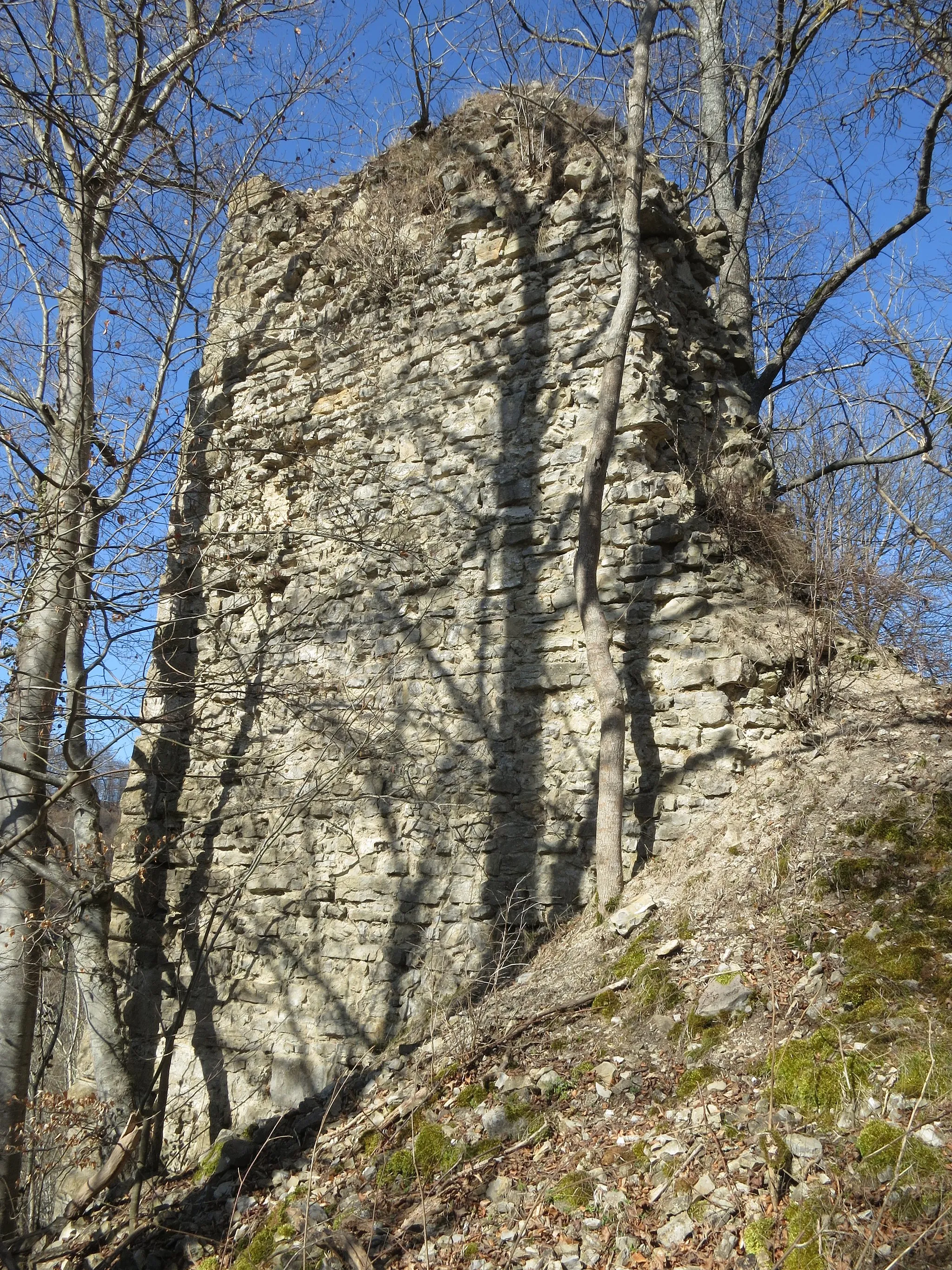 Photo showing: Burgruine Hohenstein (Alt-Hohenstein) oberhalb des Neckartals.