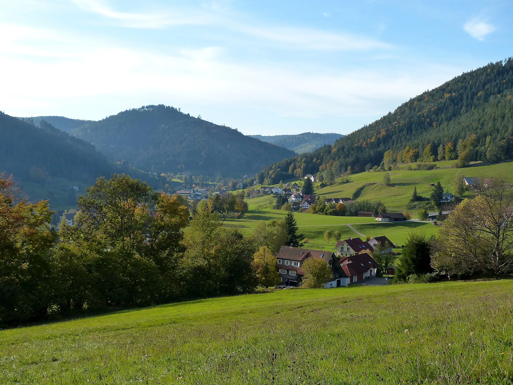 Photo showing: Baiersbronn-Mitteltal
