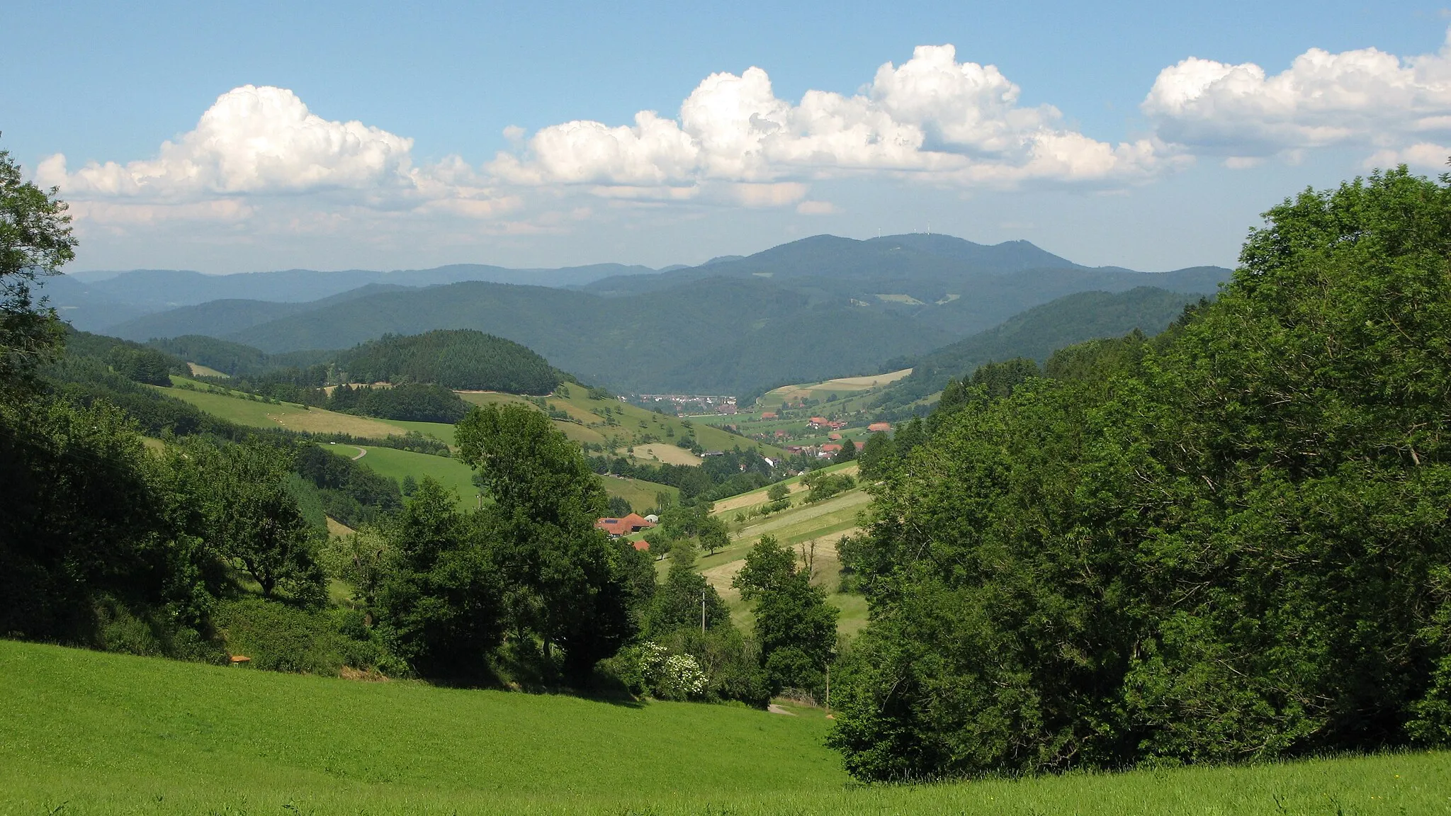 Photo showing: Blick nach Welschensteinach von einem Höhenrücken zwischen dem Schuttertal und dem Kinzigtal am Kandelhöhenweg und dem Schwarzwald-Querweg Rottweil–Lahr im Schwarzwald.