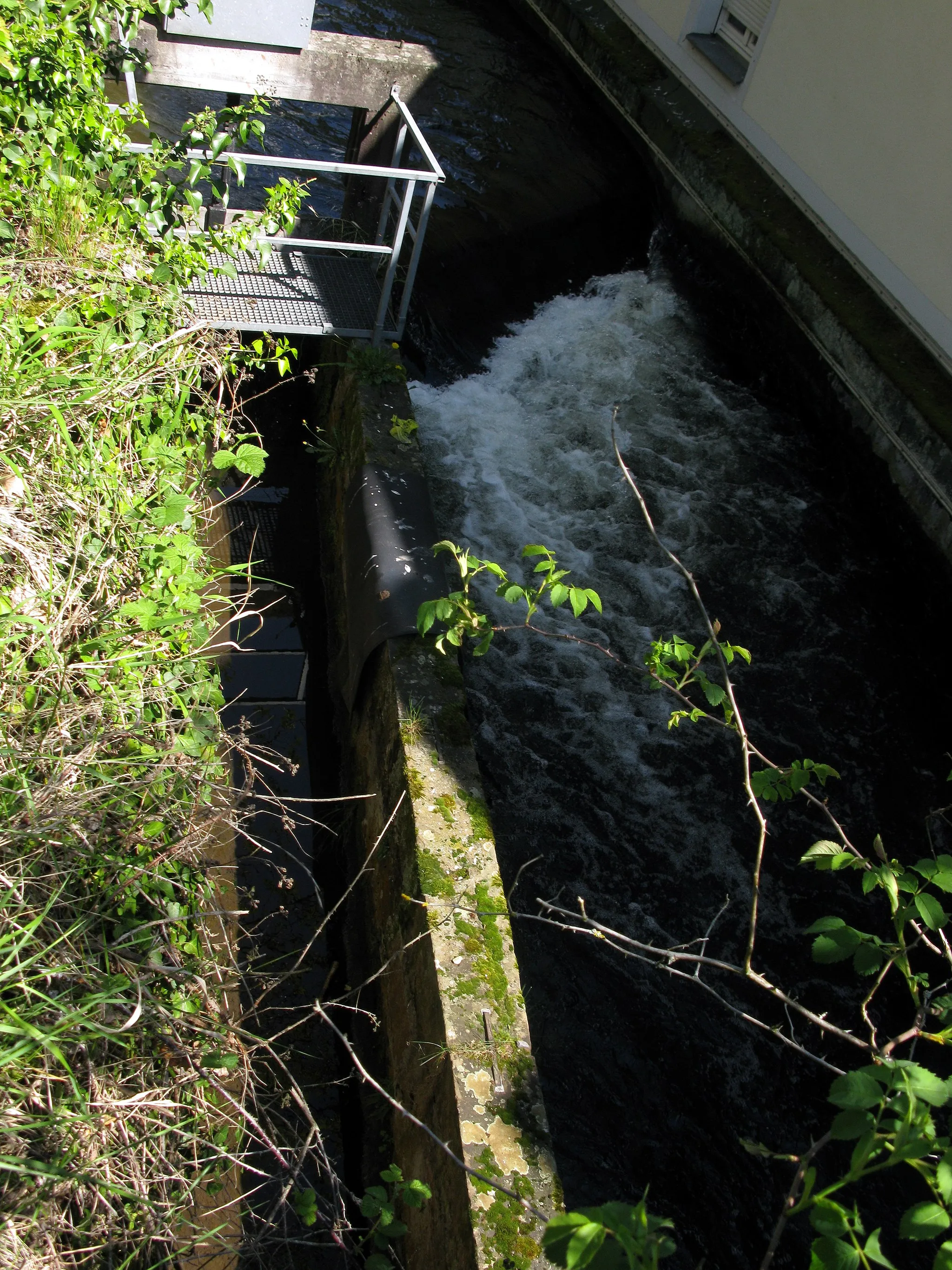 Photo showing: Ausleitung des Bächlewassers vom Freiburger Gewerbekanal