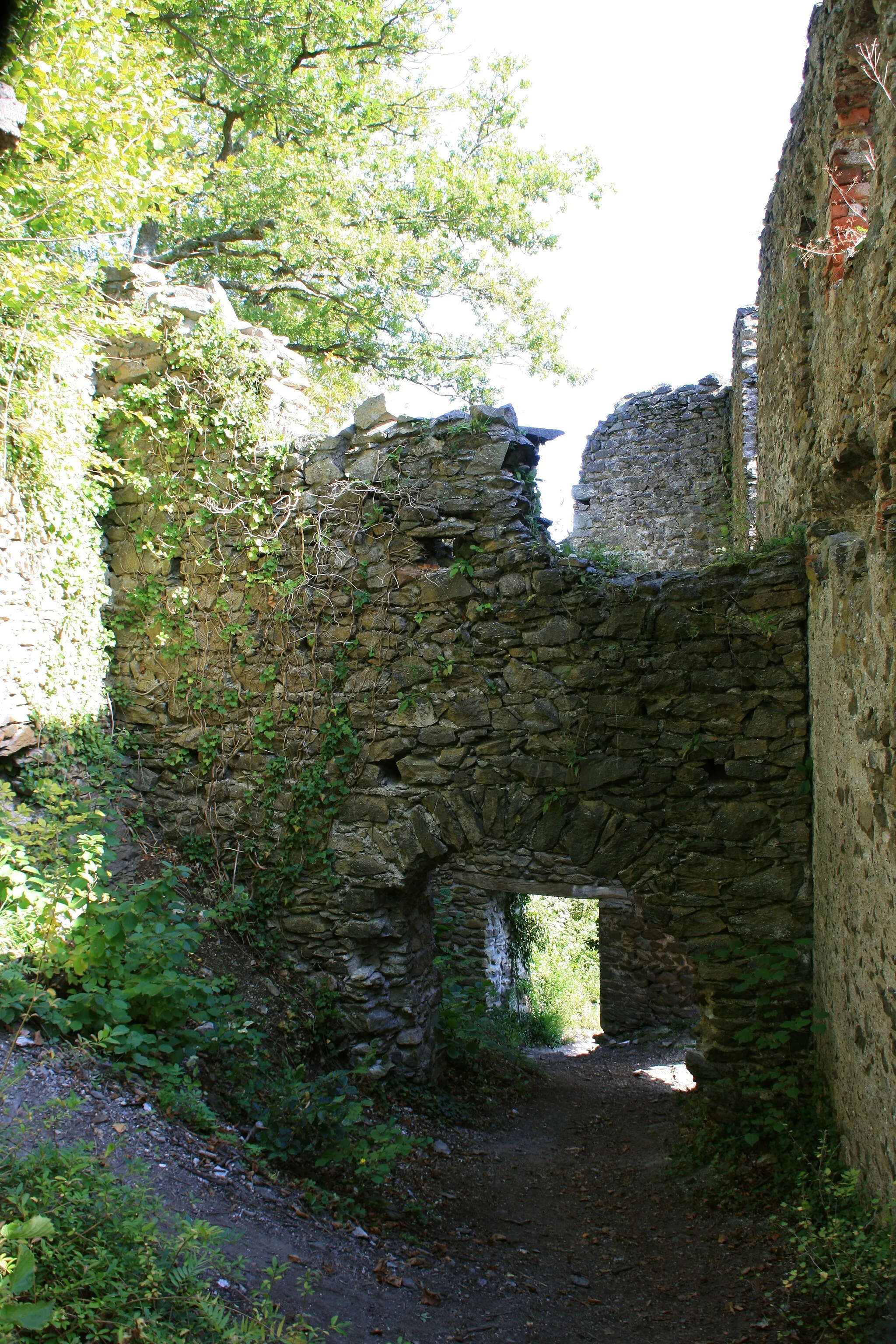 Photo showing: Burg Hohenkrähen auf dem Hohenkrähen in Hilzingen