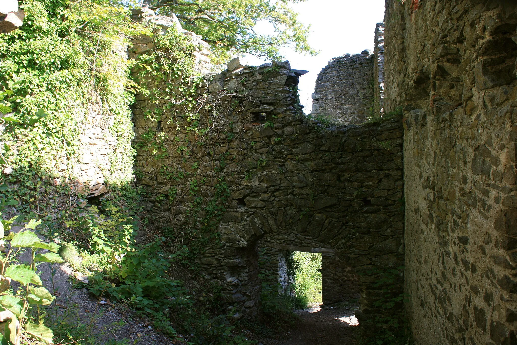 Photo showing: Burg Hohenkrähen auf dem Hohenkrähen in Hilzingen