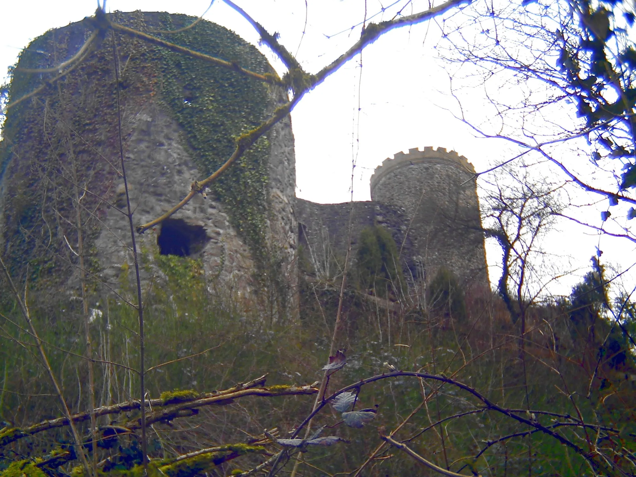 Photo showing: Burg Husen (Hausach)
