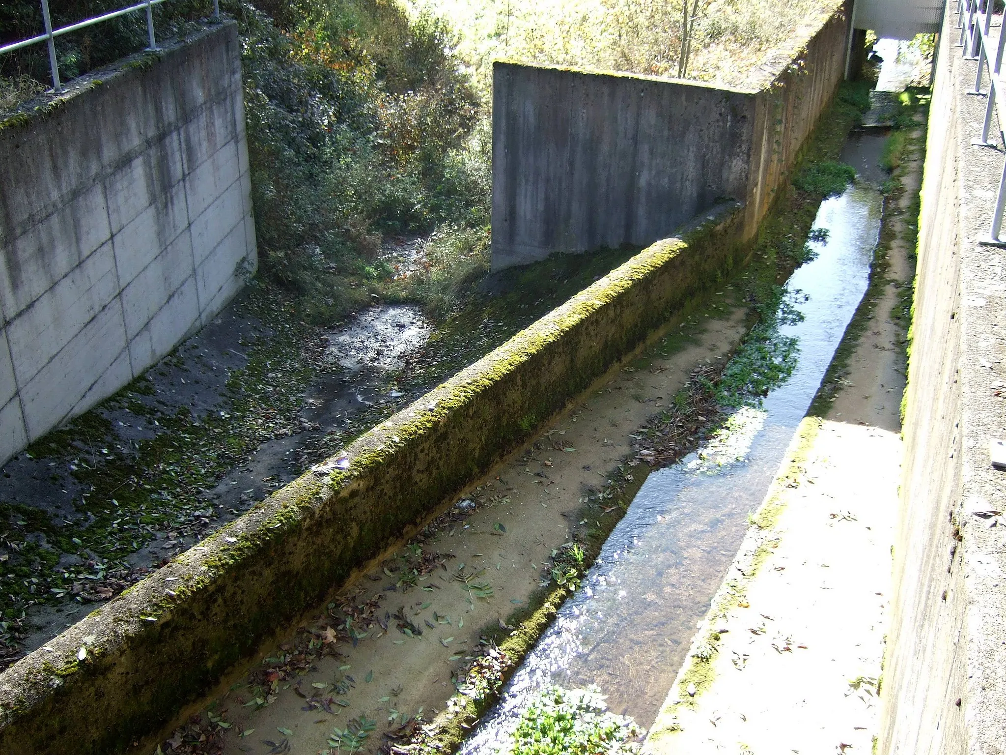 Photo showing: Die Flussbifurkation des Mühlegraben bei Blumberg. Die Aitrach (links) ist fast trocken und fließt zur Donau, während das restliche Wasser zum Schleifebächle (rechts) über die Wutach zum Rhein fließt.