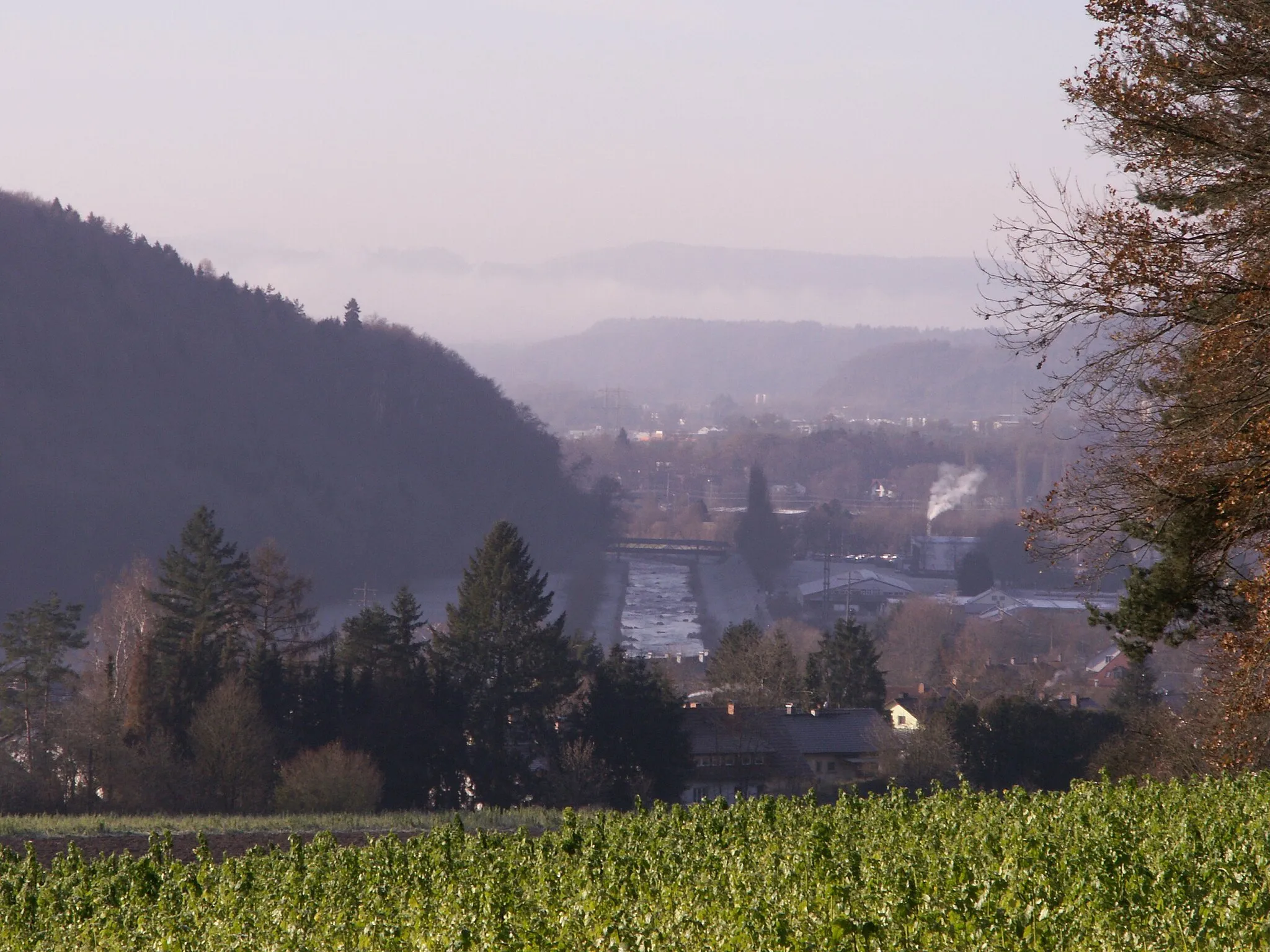 Photo showing: Blick auf Tiengen (Waldshut-Tiengen) und Wutach von Osten