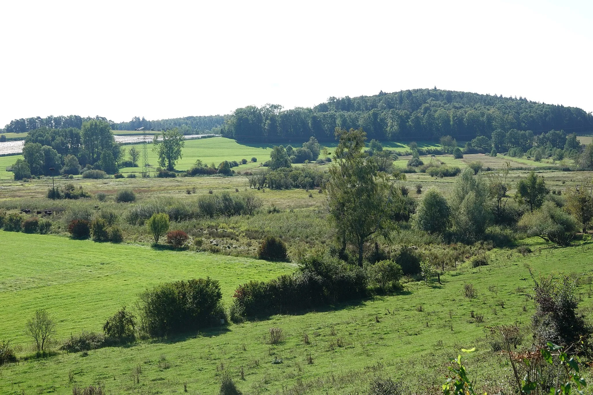 Photo showing: Blick auf das Naturschutzgebiet Hepbacher-Leimbacher Ried.