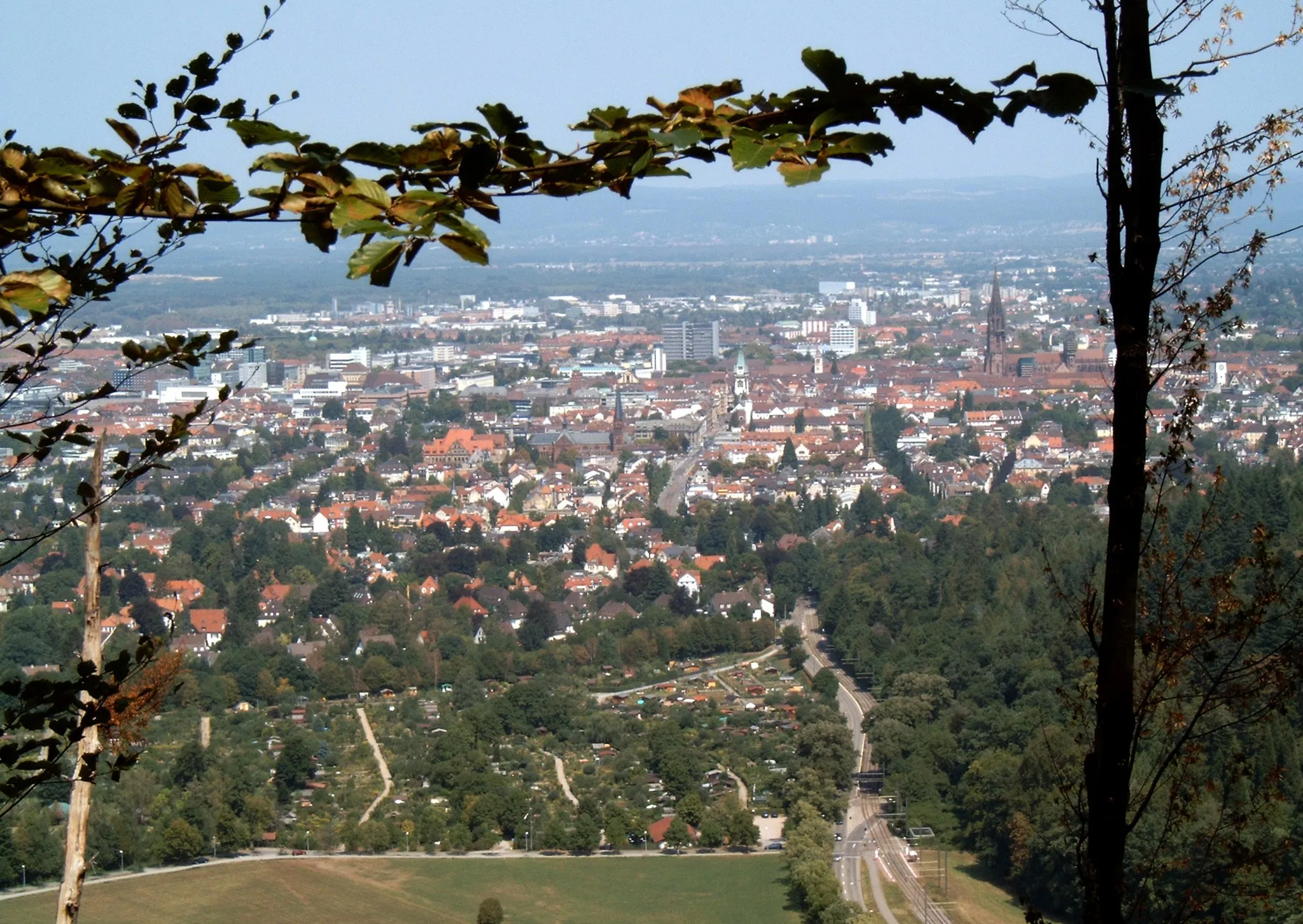 Photo showing: Blick vom Kreuzkopf auf Freiburg, vor der Altstadt rechts der Bildmitte die Mittelwiehre und links die Unterwiehre mit Johanneskirche, im Vordergrund vor dem Holbeinviertel die Kleingartenanlage Wonnhalde