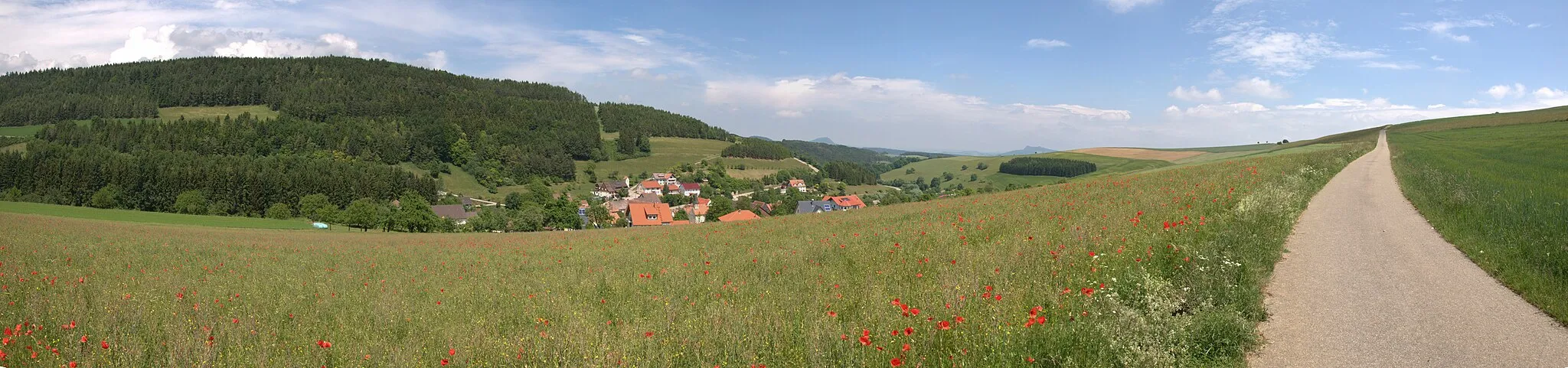 Photo showing: Germany / Baden-Württemberg:  Nordhalden, a fraction of Blumberg, in the Southern Black Forest with view to the volcanoes of Hegau in the far background.