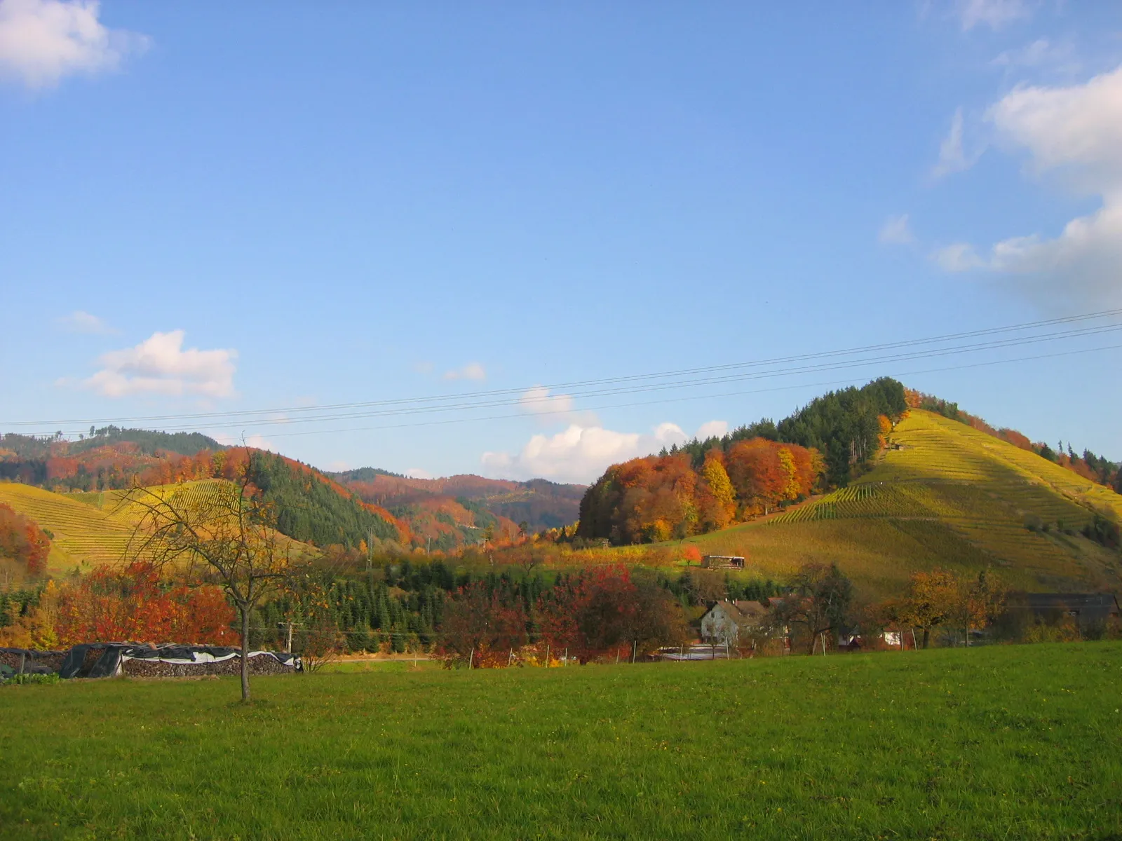 Photo showing: Reichenbachtal mit Blickrichtung zum Eichberg, Gengenbach, Baden-Württemberg, Deutschland