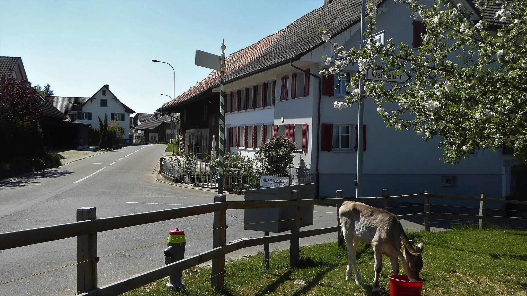 Photo showing: Friltschen