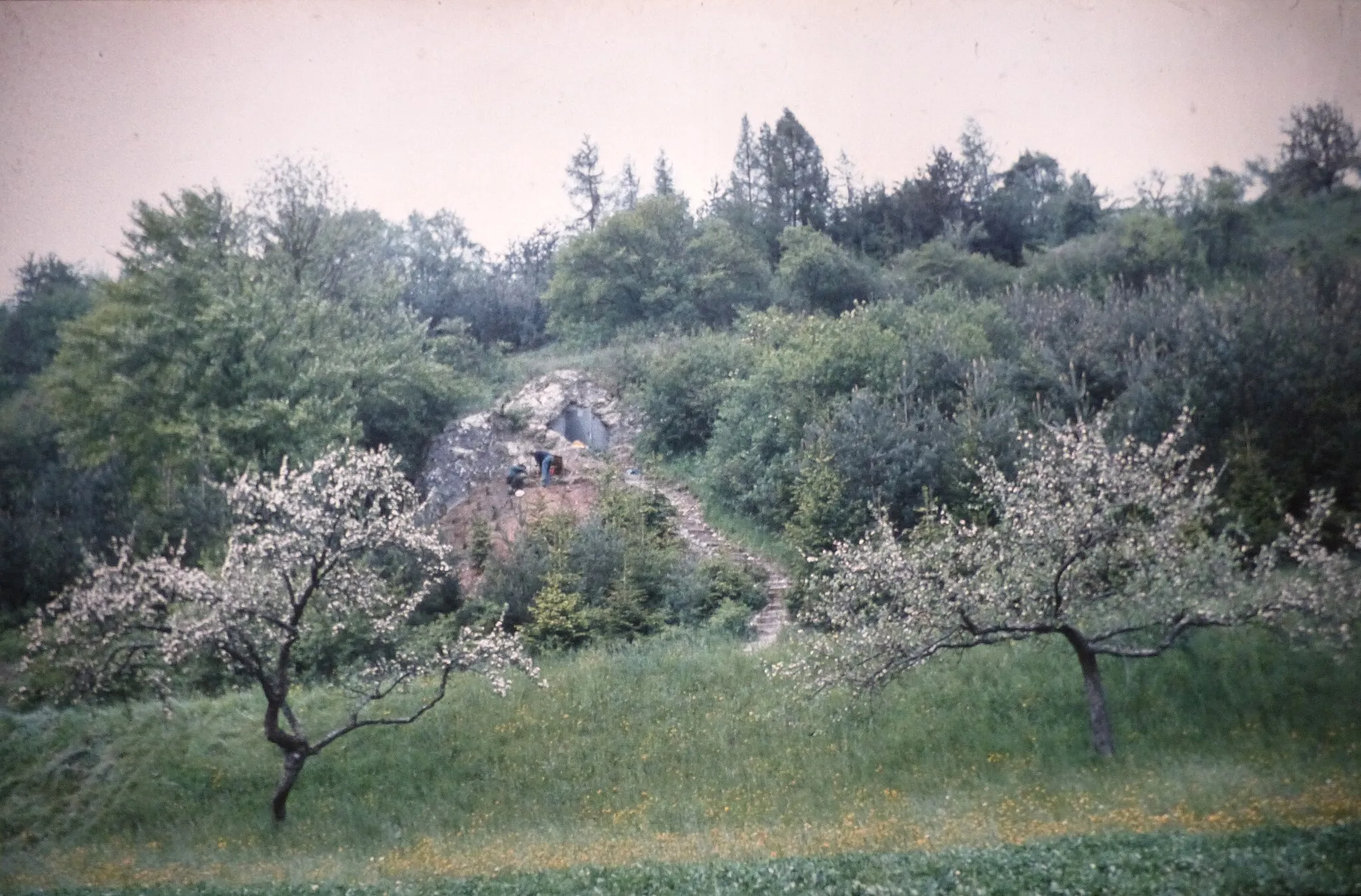 Photo showing: Blick zur Gnirshöhle im Brudertal zwischen Engen und Bittelbrunn, Baden-Württemberg, Deutschland.