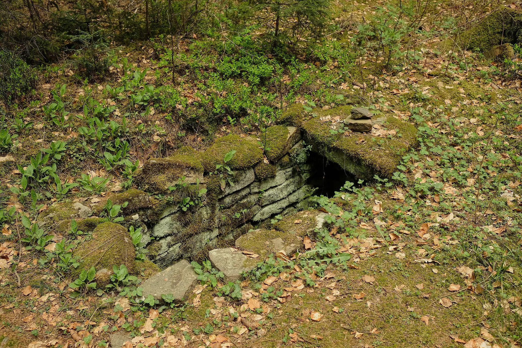 Photo showing: Tumuli, Obereschach, Villingen-Schwenningen, district Schwarzwald-Baar-Kreis, Baden-Württemberg, Germany