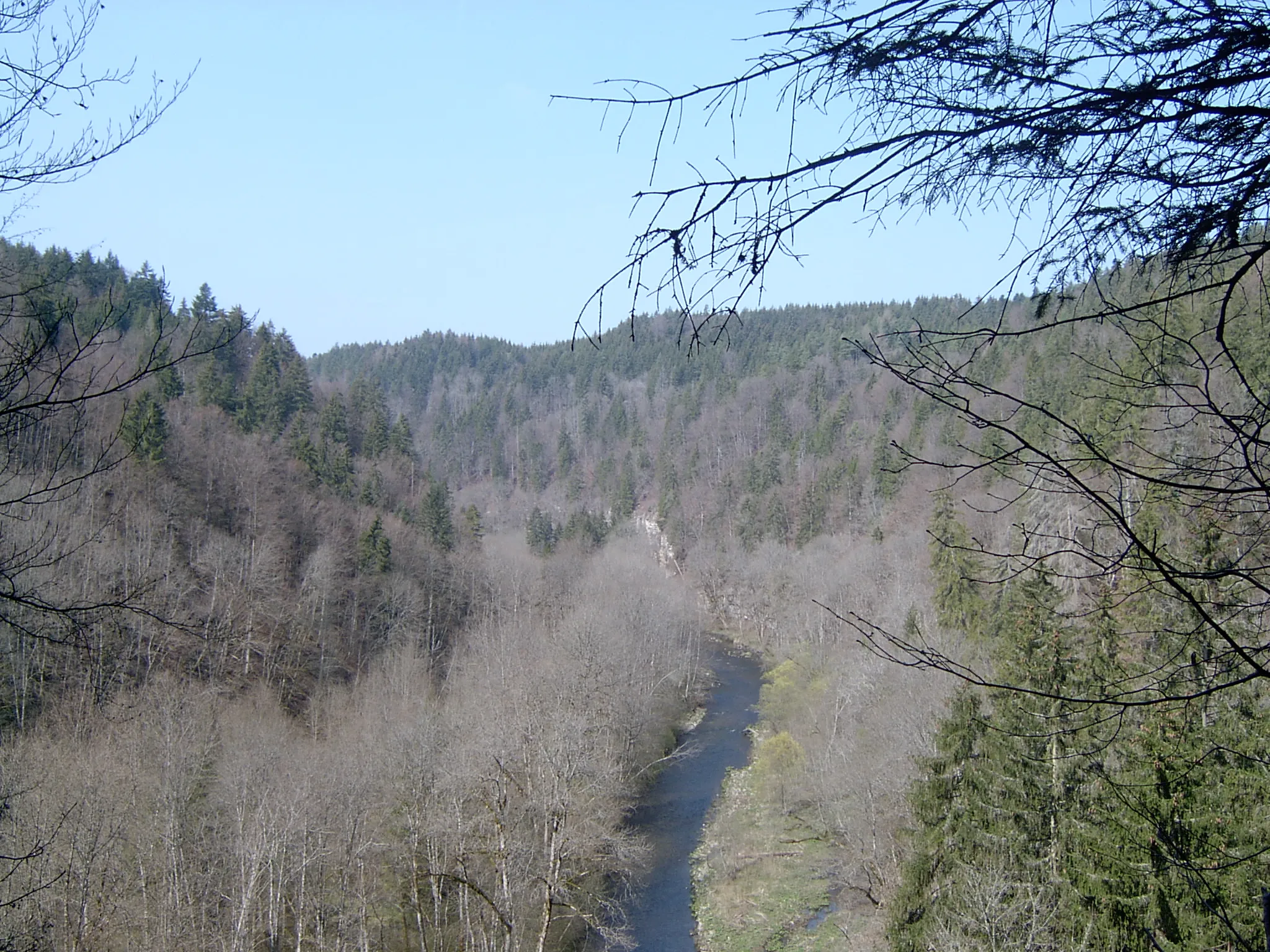 Photo showing: Wutachschlucht, südlich von Reiselfingen im Naturschutzgebiet „Wutachschlucht“