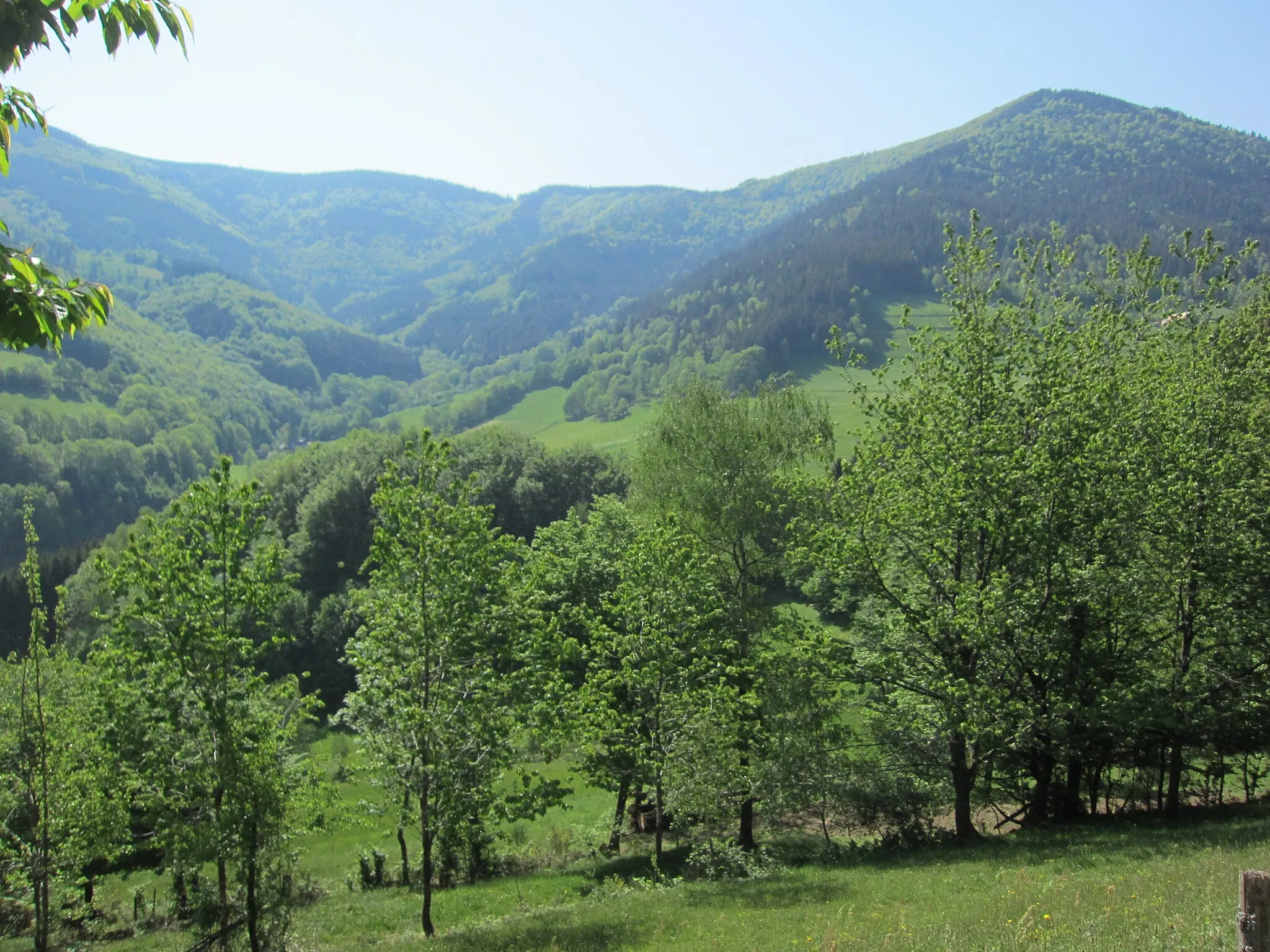 Photo showing: Schlossbühl, mountain Schlossbühl viewed from northwest