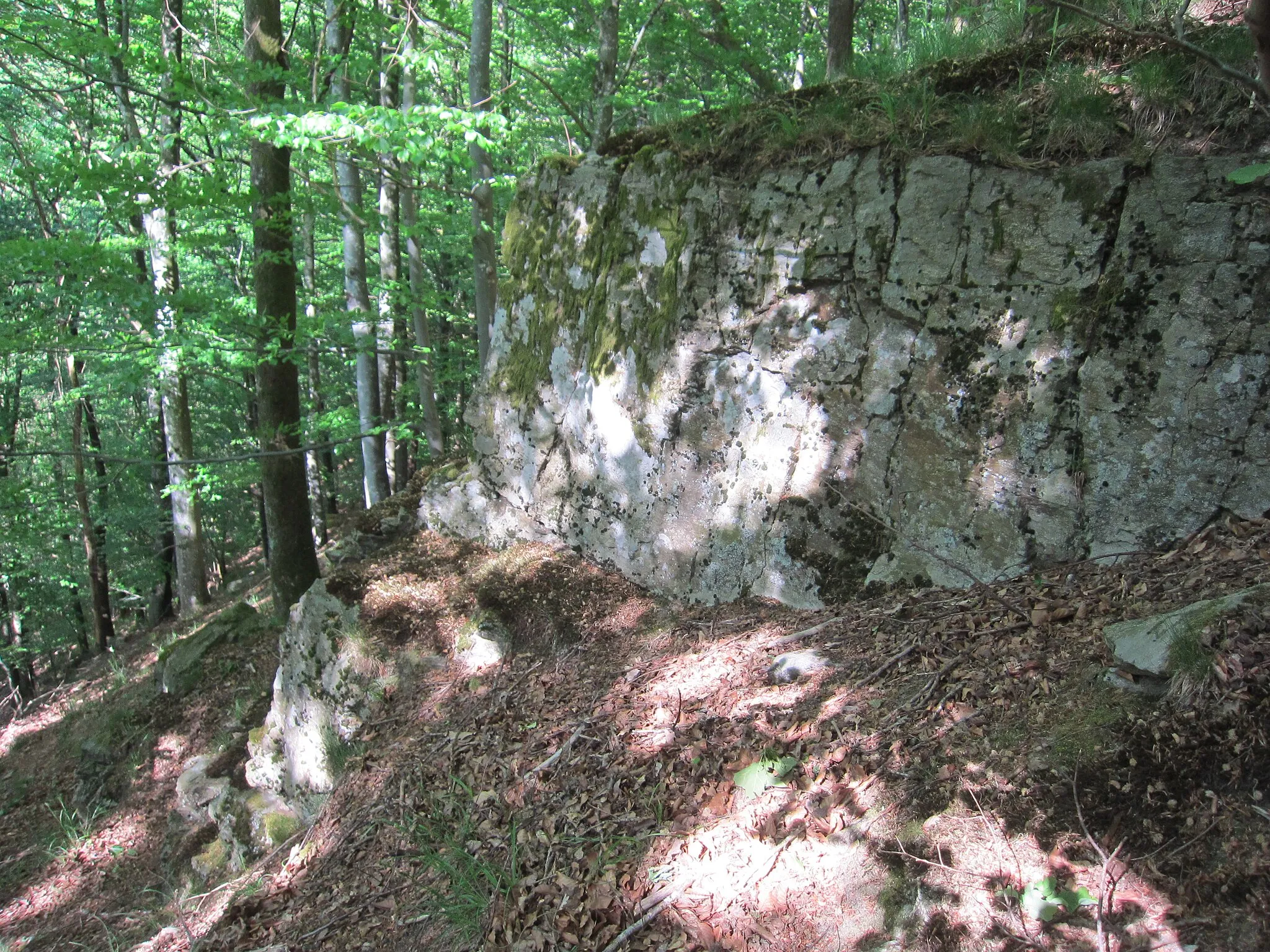 Photo showing: Schlossbühl, rock at the southern side of the western hill