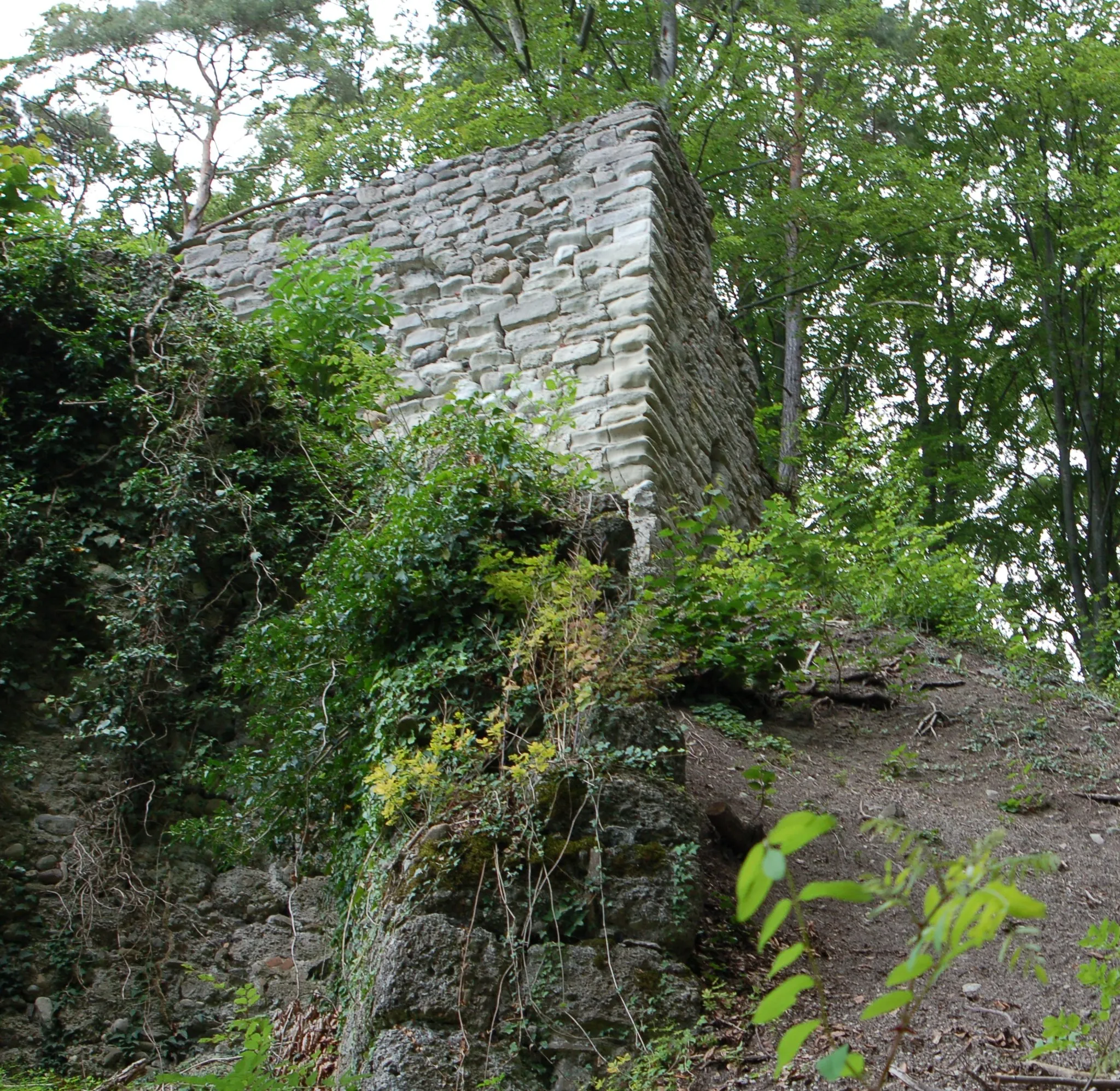 Photo showing: The ruins of the castle Hohenfels near Sipplingen at the Lake of Constance