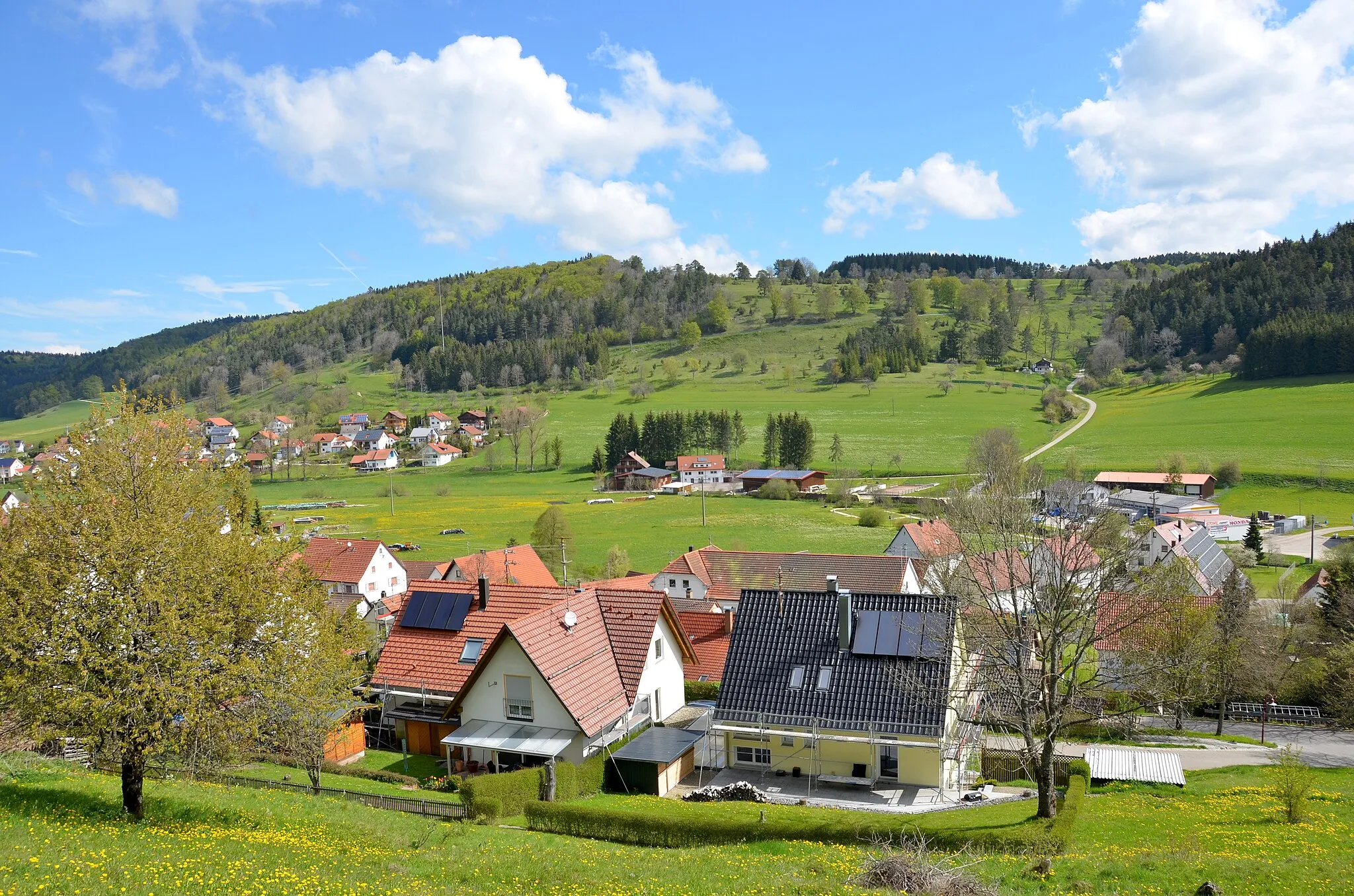 Photo showing: (NSG:BW-4.123)_Scheibhalden
Blick auf das Naturschutzgebiet Scheibhalden nordöstlich von Oberdigisheim (2019), Naturraum Hohe Schwabenalb, Naturpark Obere Donau, FFH-Gebiet Östlicher Großer Heuberg, Biotop Wacholderheide im NSG Scheibhalden