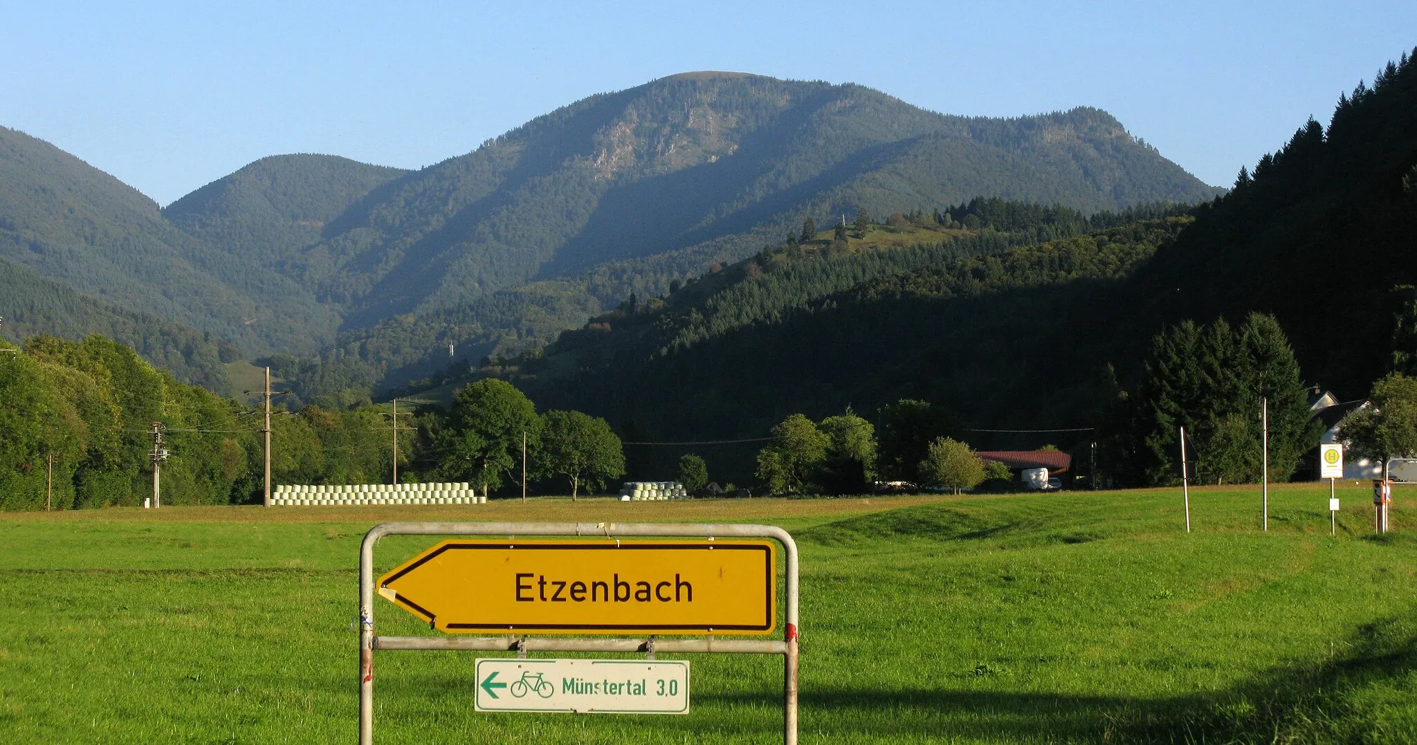 Photo showing: Belchen vom Münstertal, Gemarkung Staufen-Grunern