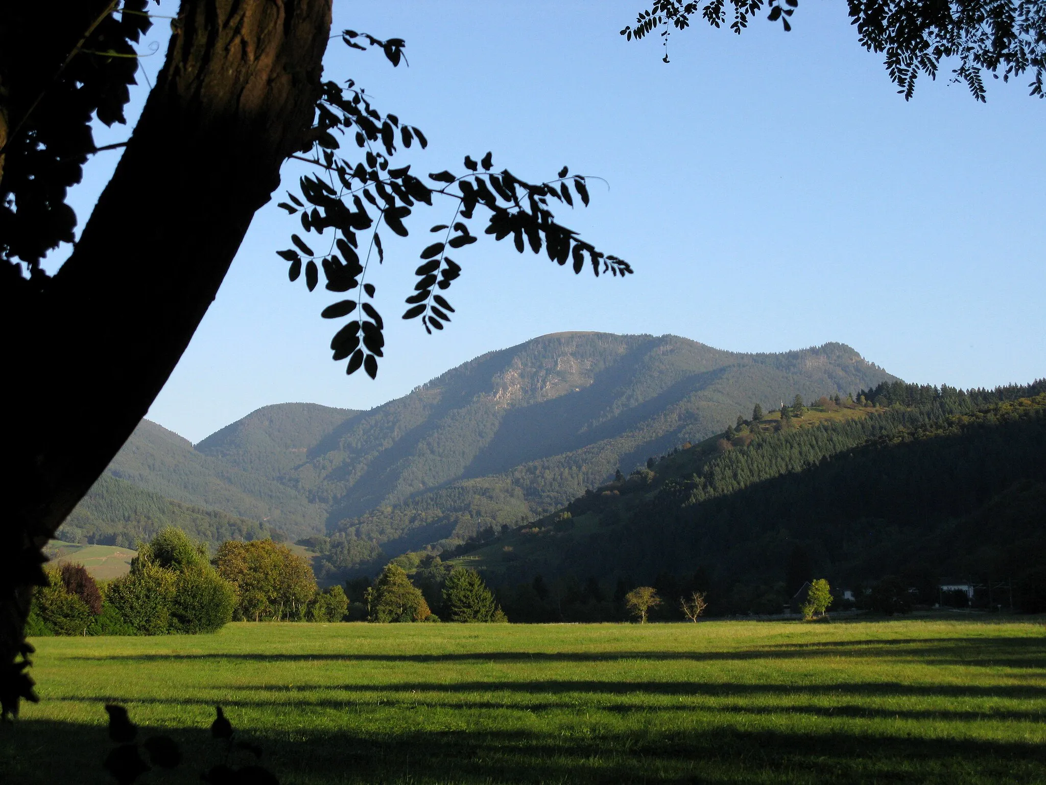 Photo showing: Belchen vom Münstertal, Gemarkung Staufen-Grunern