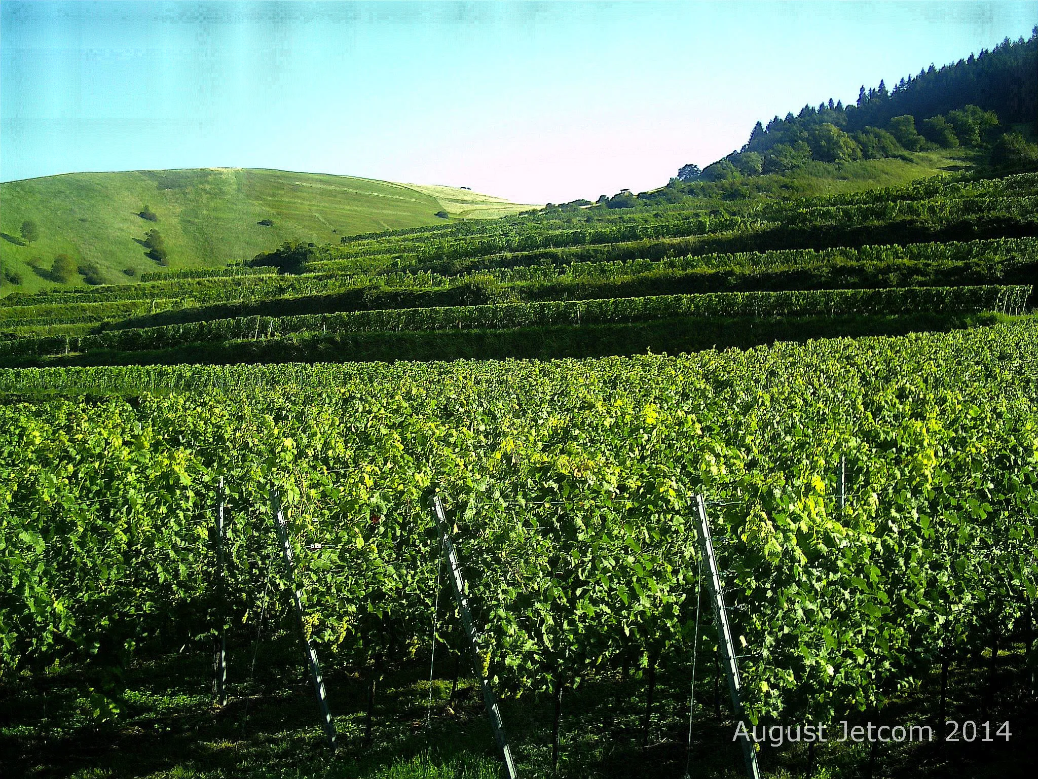 Photo showing: Vogtsburg Kaiserstuhl August 2014