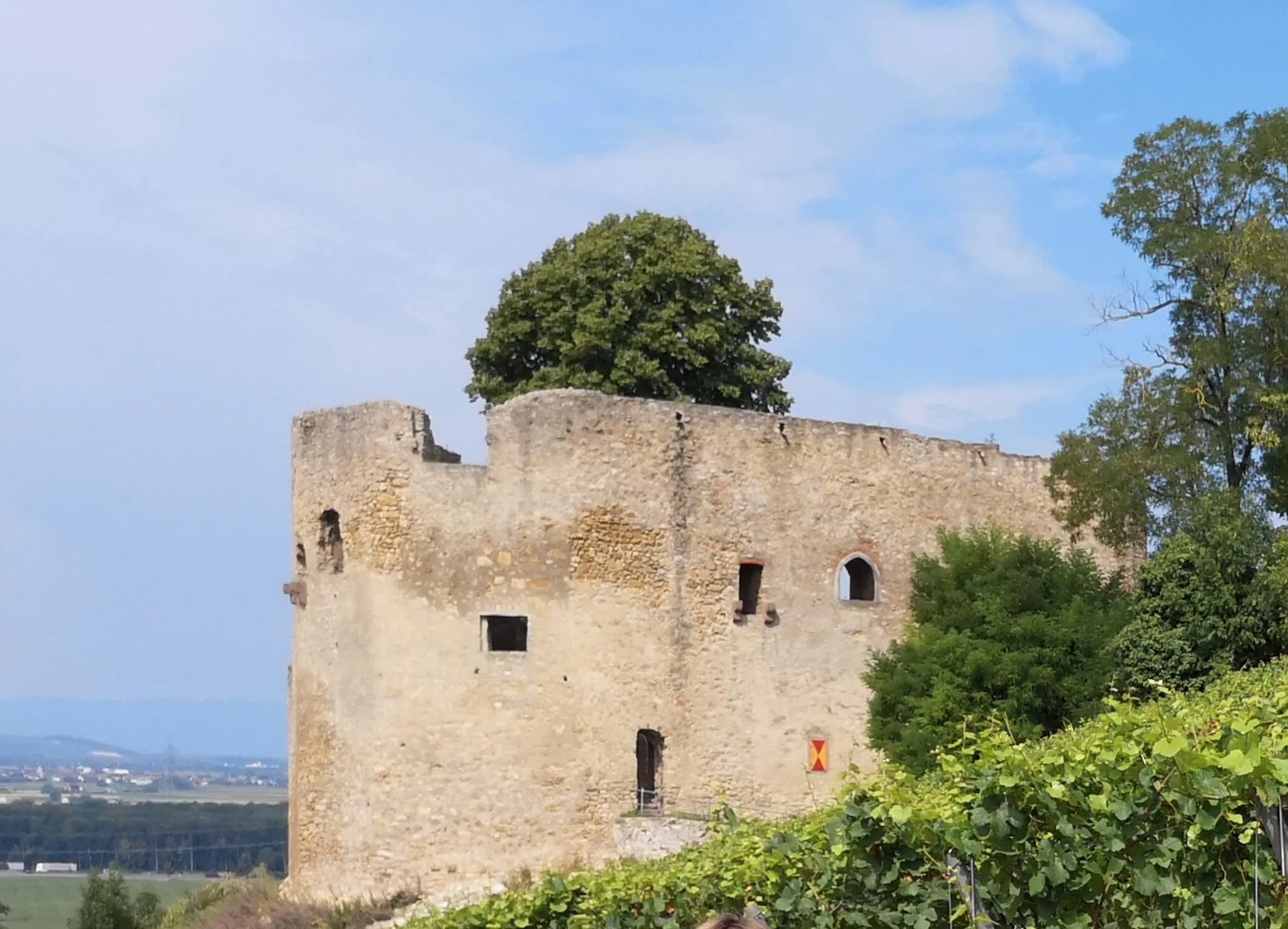 Photo showing: Die vermutlich Mitte des 13. Jhd. errichtete Burgruine Lichteneck liegt oberhalb des Kenzinger Ortsteils Hecklingen und bietet einen schönen Blick über das Rheintal und den Kaiserstuhl. Die Burgruine ist nur mit Führungen (2018: 20 Führungen) zugänglich und kann gegen ein Entgelt gemietet werden.