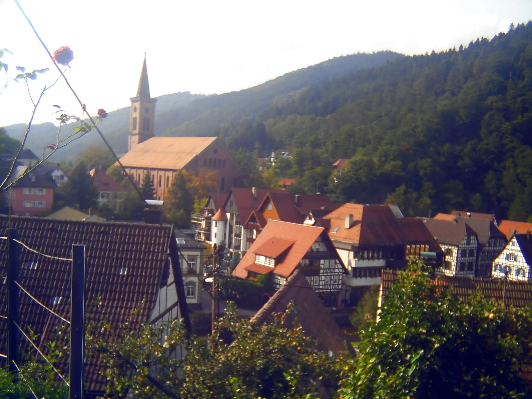 Photo showing: The town church of Schiltach