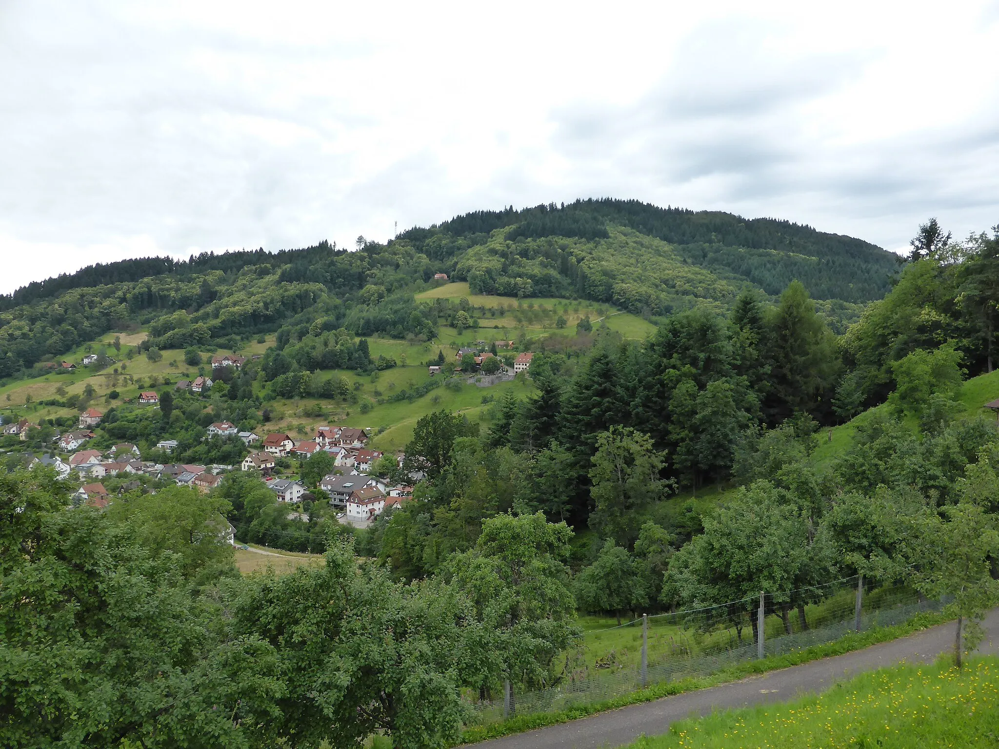 Photo showing: Genießerpfad über den Karlsruher Grat