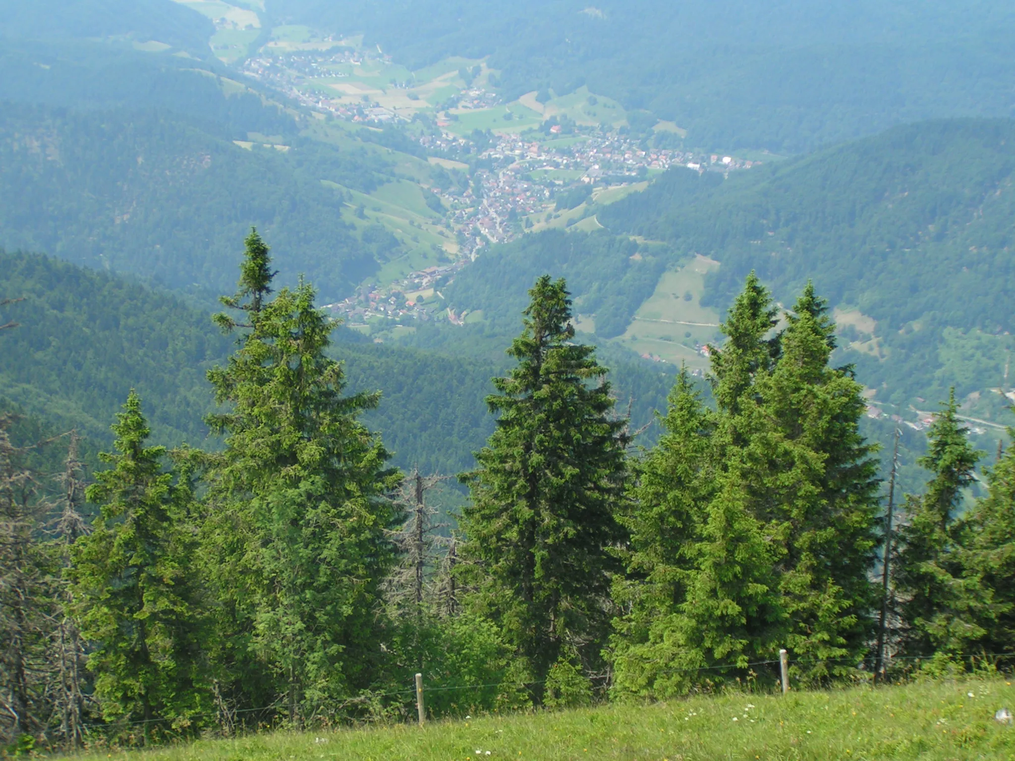 Photo showing: Blick vom Belchen auf Kaltwasser (Gemeinde Münstertal/Schwarzwald)