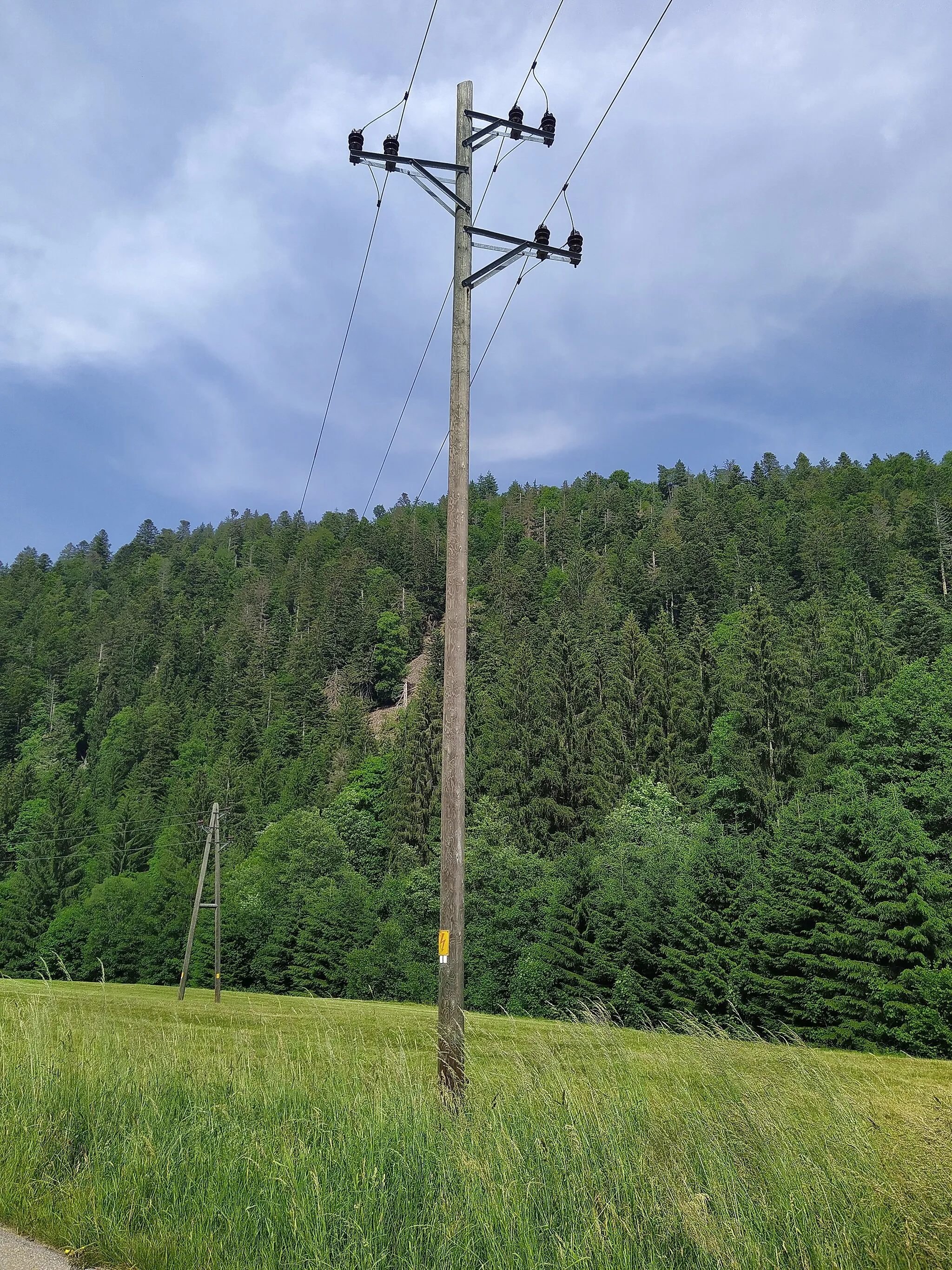 Photo showing: typical design of wooden power poles in south west germany