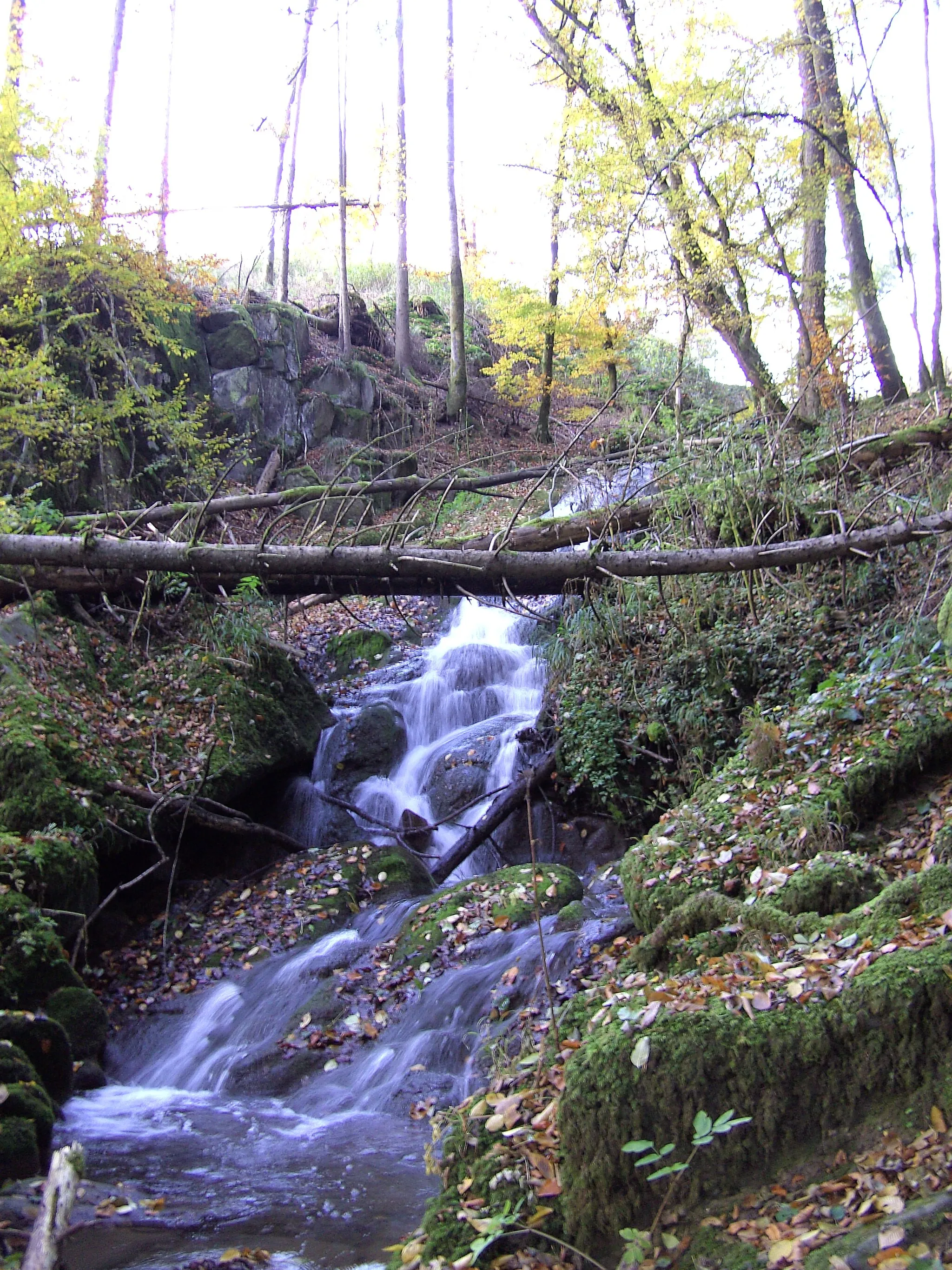 Photo showing: Birkinger Wasserfall Oktober 2007