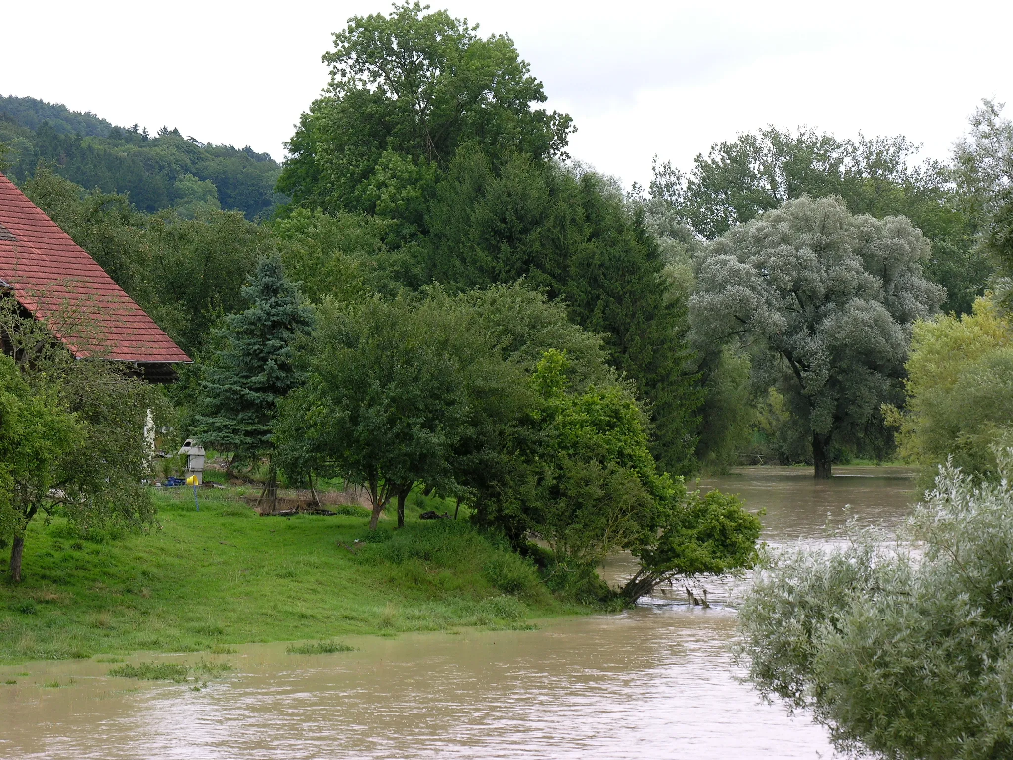 Photo showing: Switzerland, Thurgau, Flooding of the Thur in Uesslingen