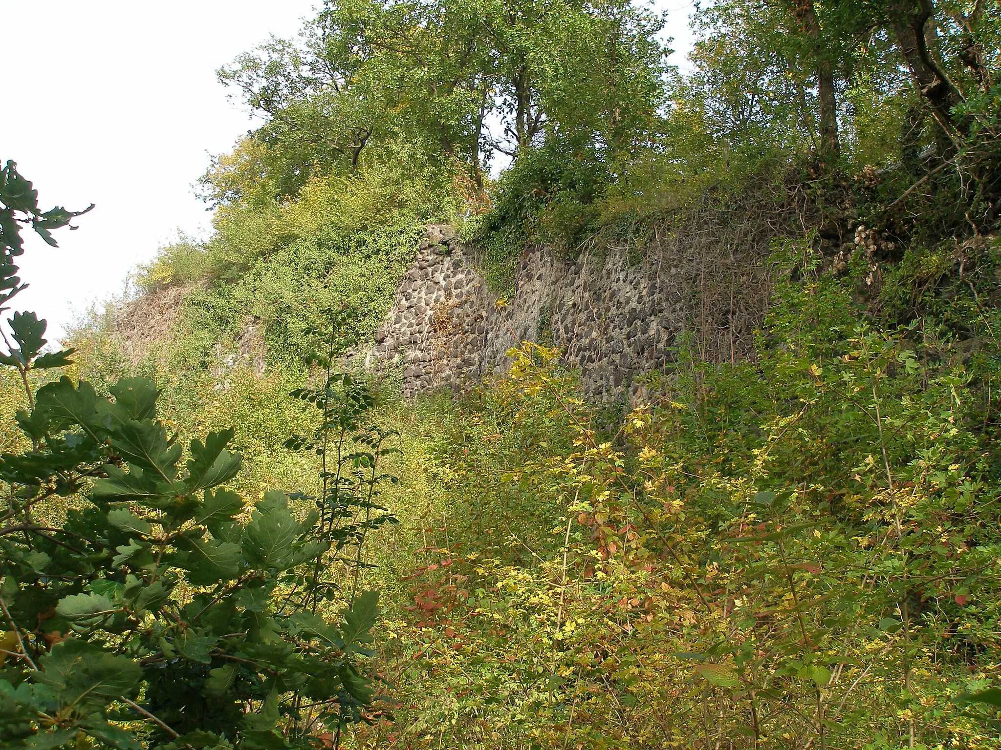 Photo showing: Ruine Limburg, Sasbach am Kaiserstuhl