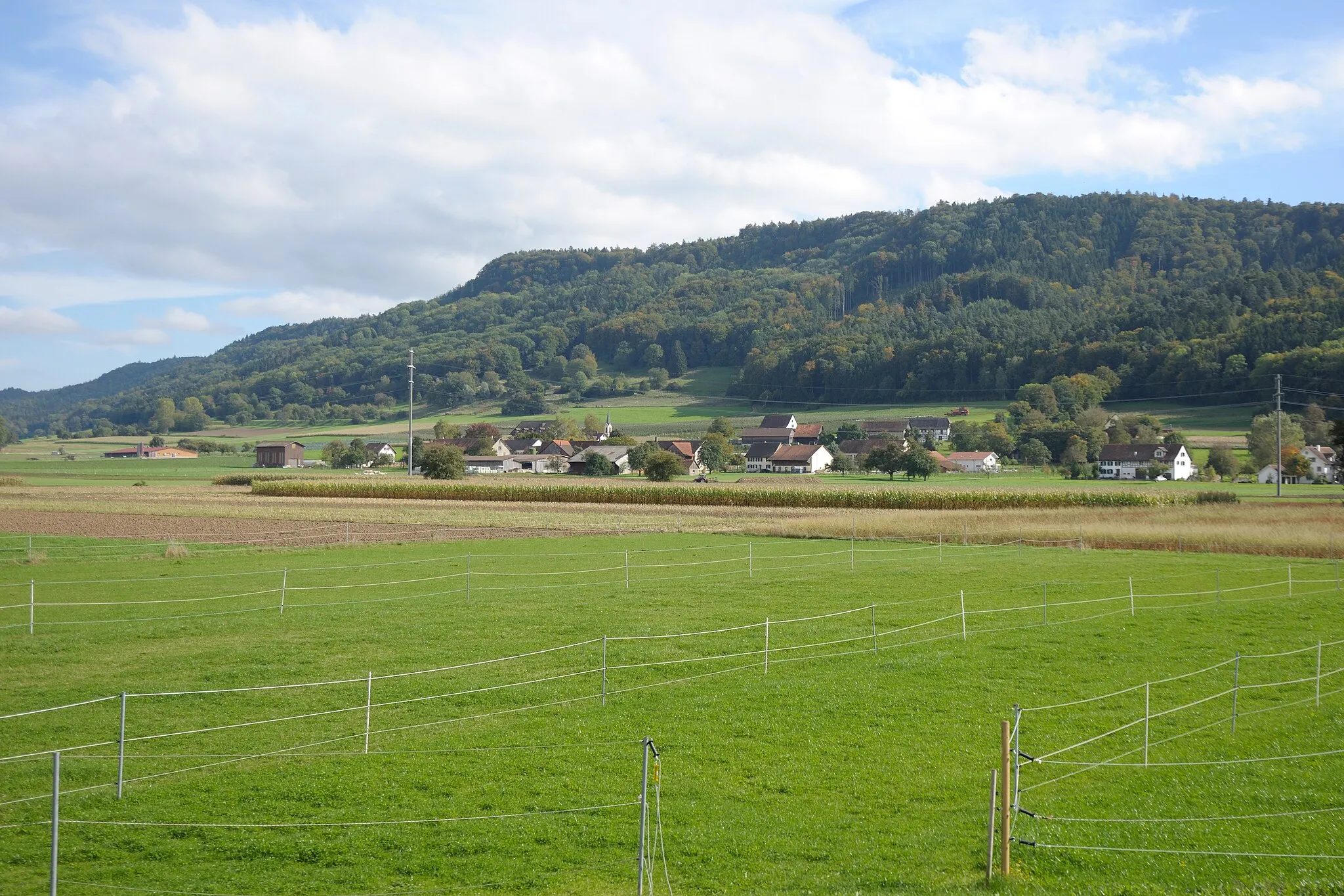 Photo showing: Switzerland, Canton of Schaffhausen, views along the museum railway line between Rielasingen (Germany) and Etzwilen (Switzerland)