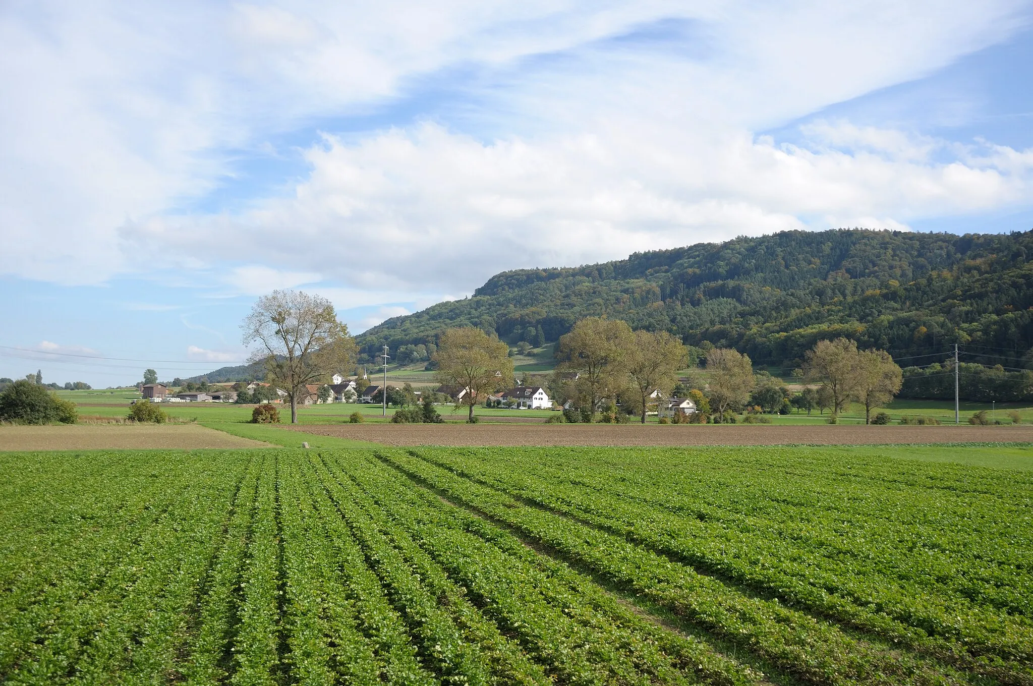 Photo showing: Switzerland, Canton of Schaffhausen, views along the museum railway line between Rielasingen (Germany) and Etzwilen (Switzerland)