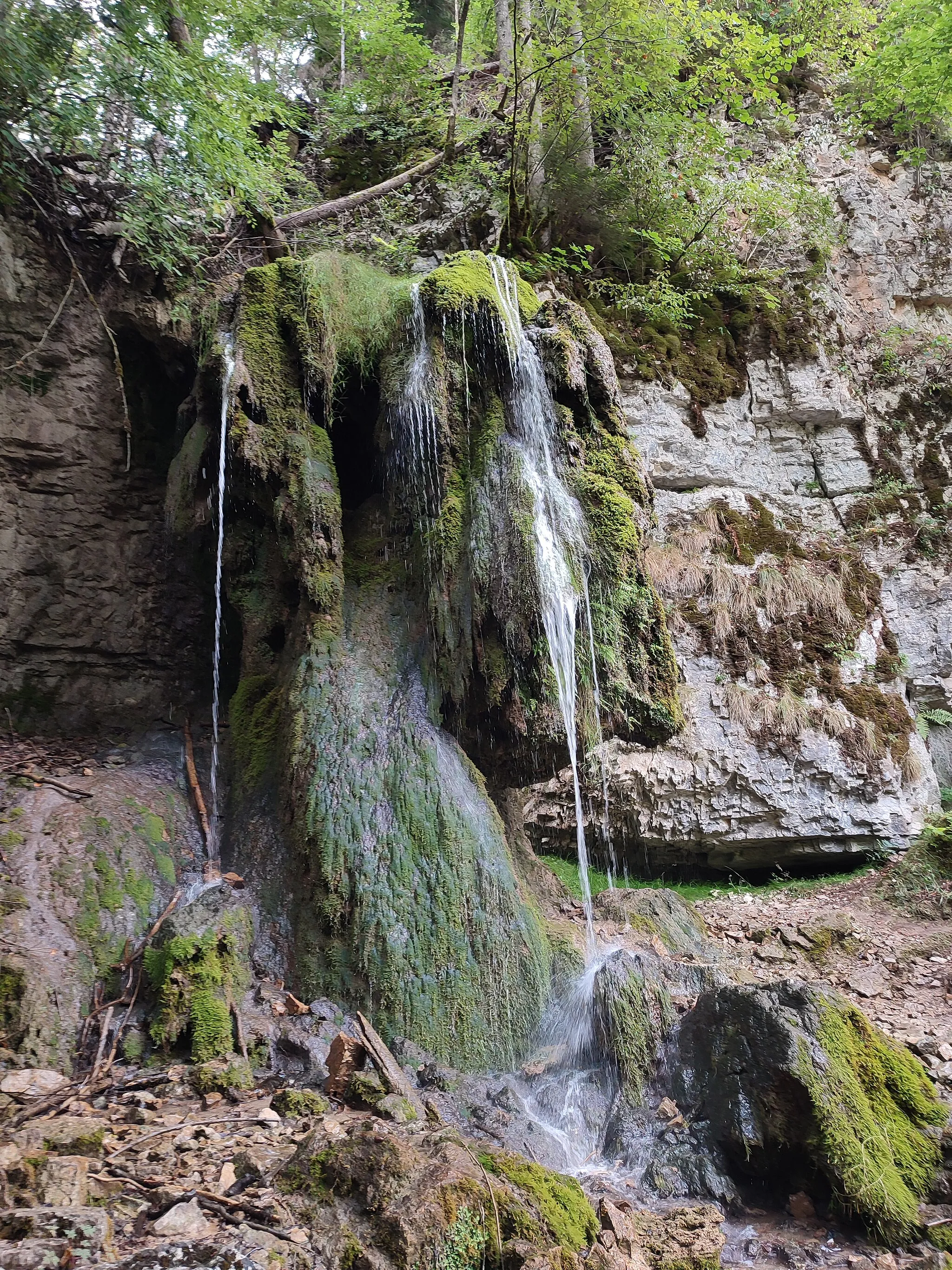 Photo showing: Tannegger Wasserfall in der Wutachschlucht