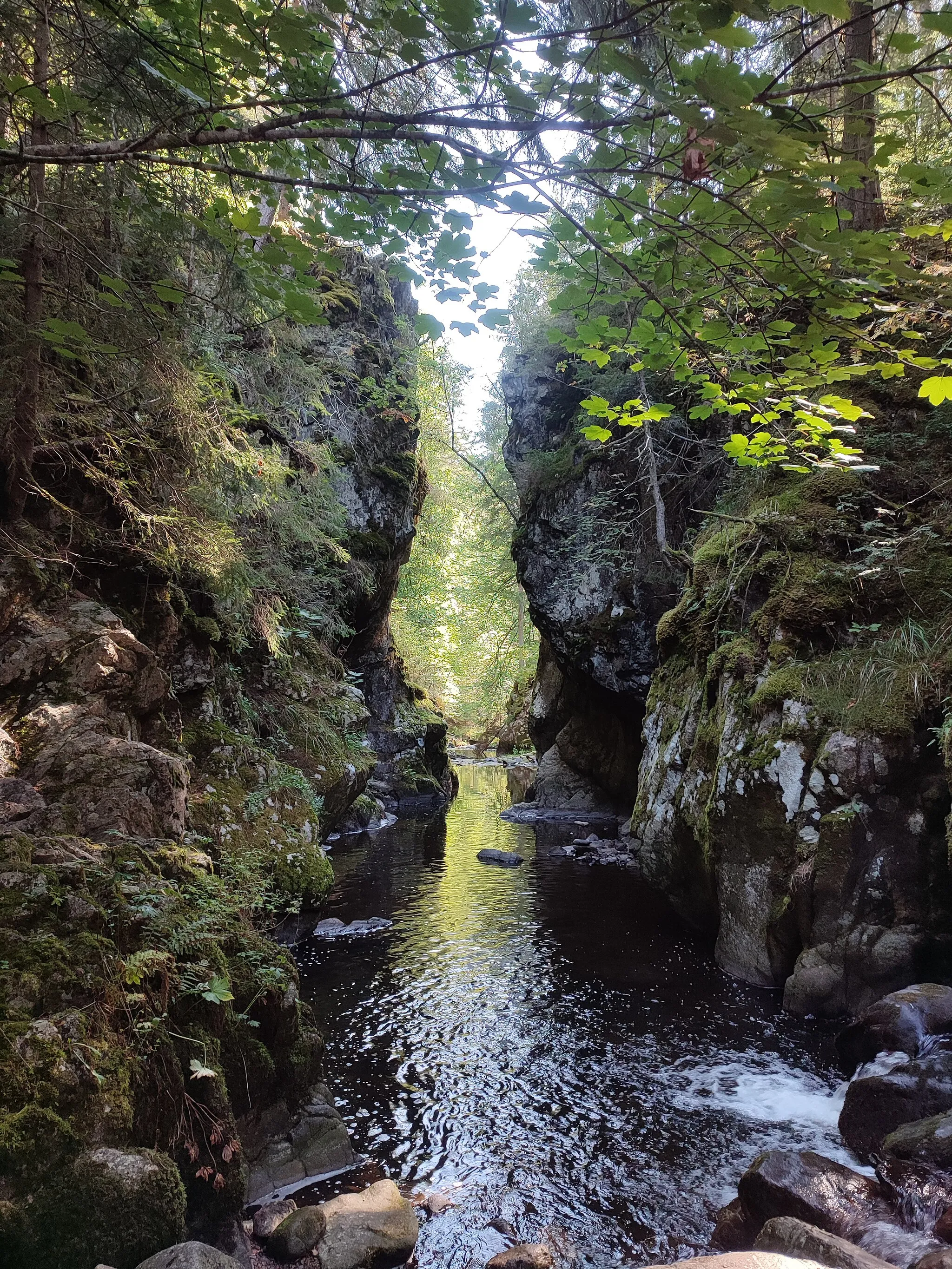 Photo showing: Rechenfelsen an der Haslach