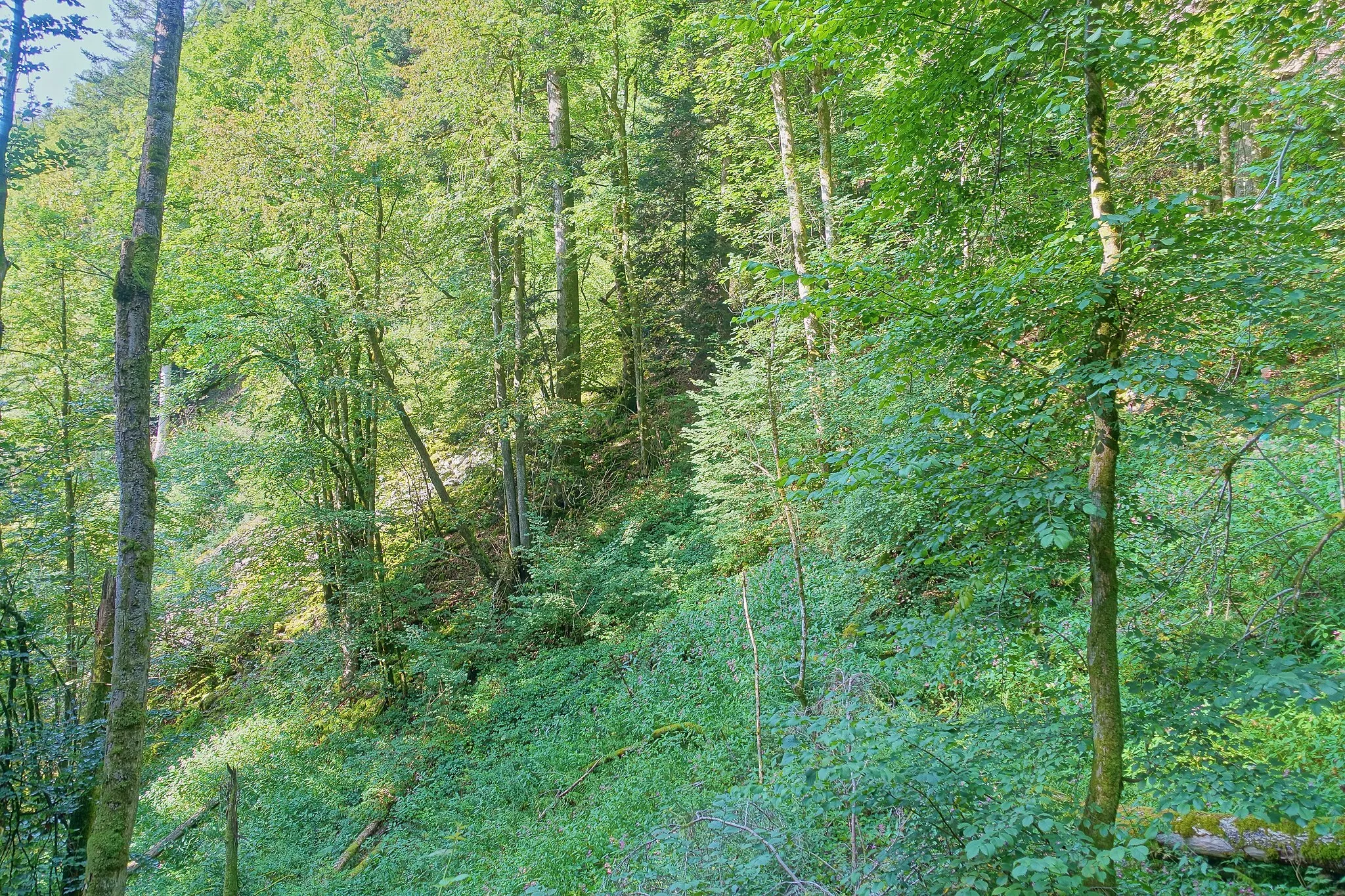 Photo showing: Naturhafter Landschaftsteil von besonderer Eigenart und Schönheit