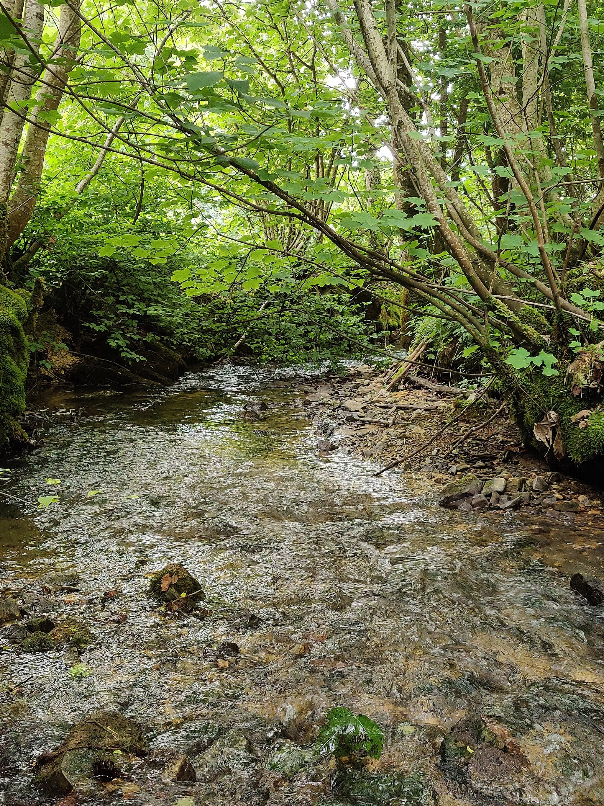 Photo showing: Landschaftsschutzgebiet Krebsbachtal, Eigeltingen, Landkreis Konstanz, Baden-Württemberg