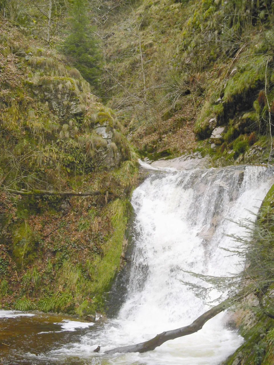 Photo showing: Wasserfall in Allerheiligen (Nordschwarzwald)