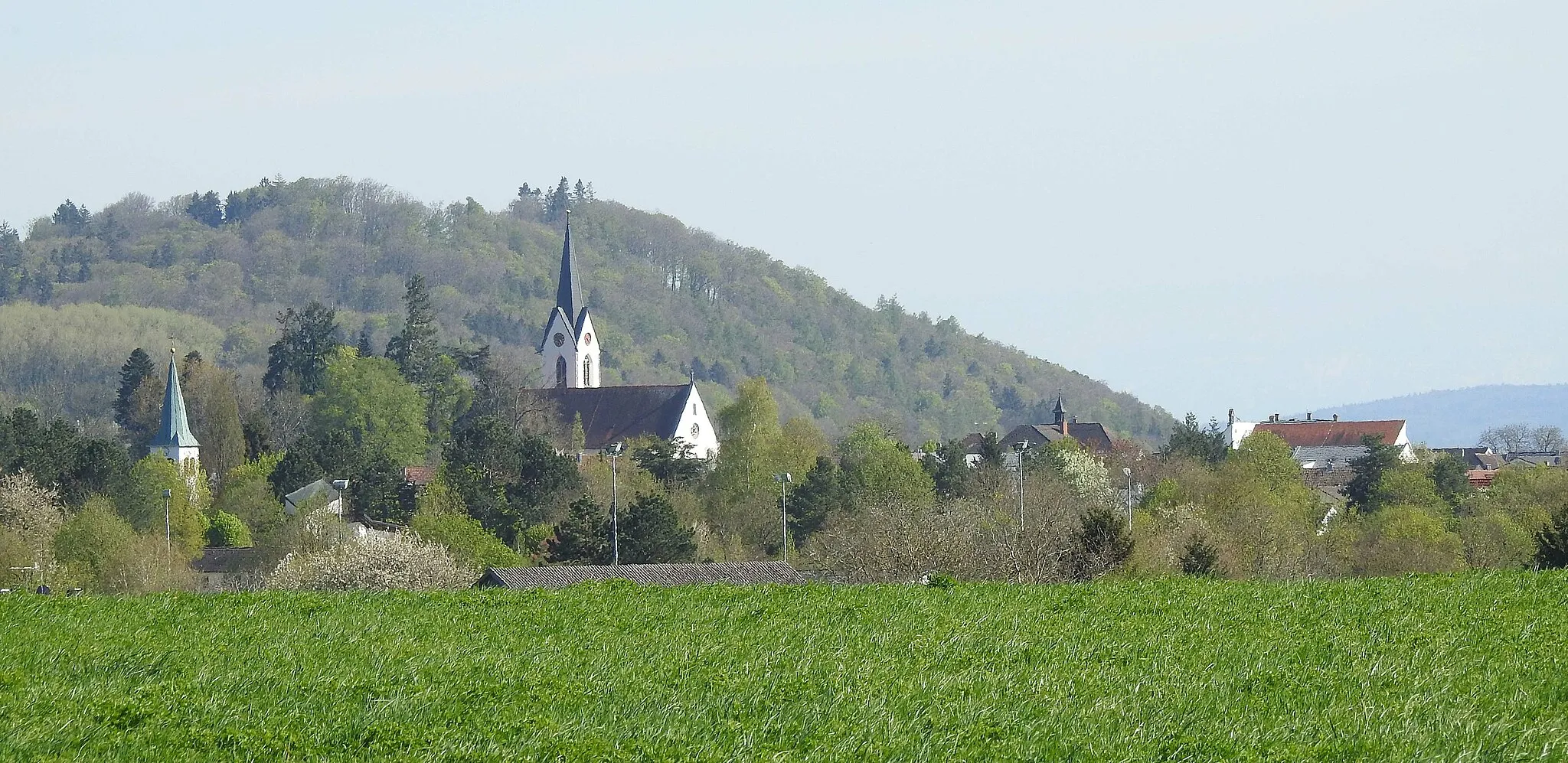 Photo showing: Steißlingen von Norden