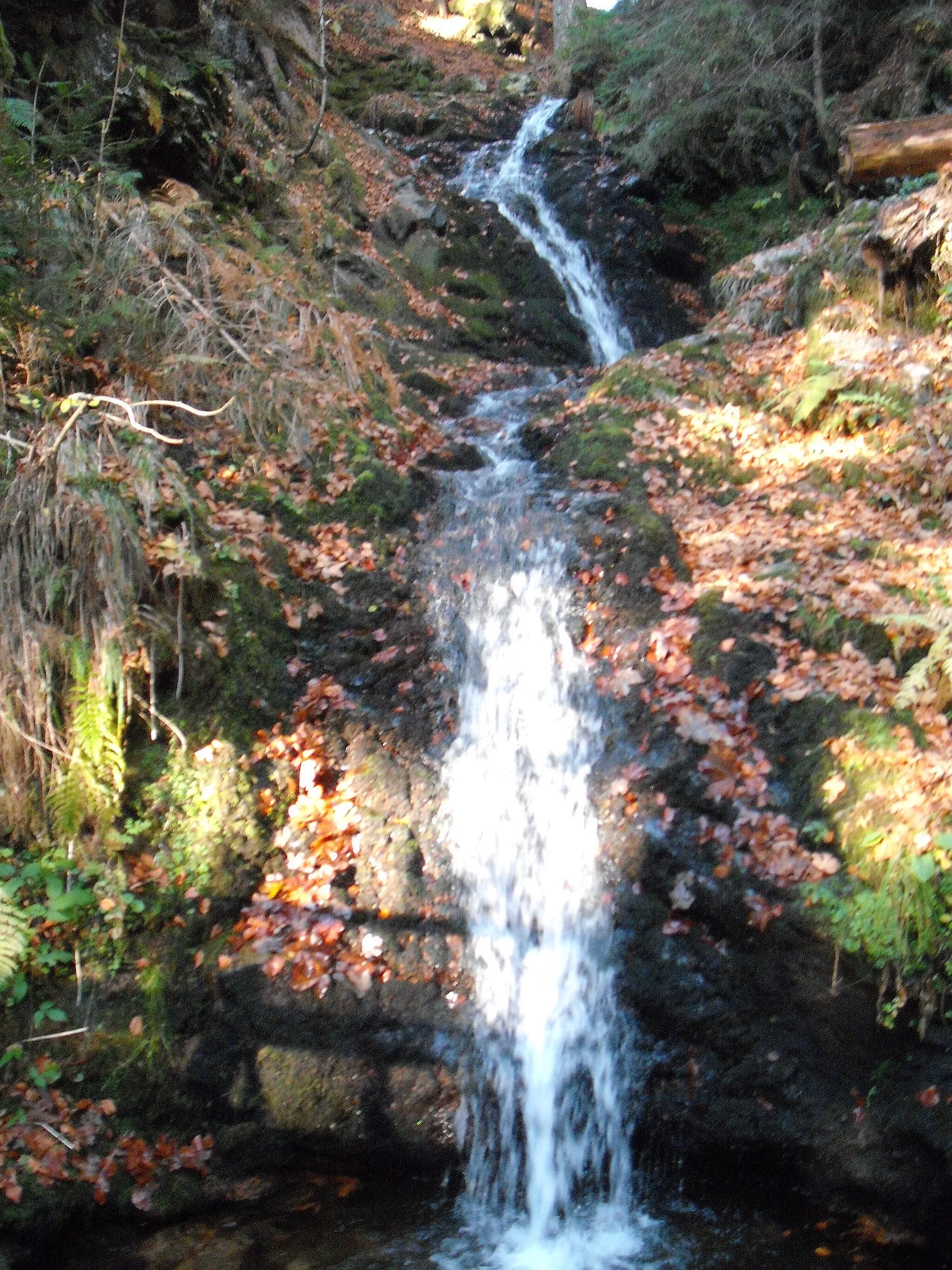 Photo showing: Wandern im November in Todtmoos