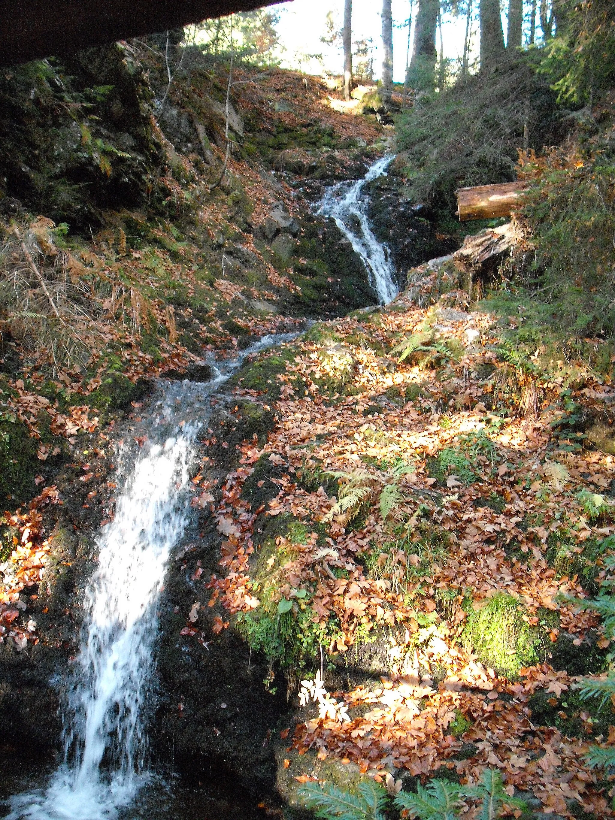 Photo showing: Wandern im November in Todtmoos